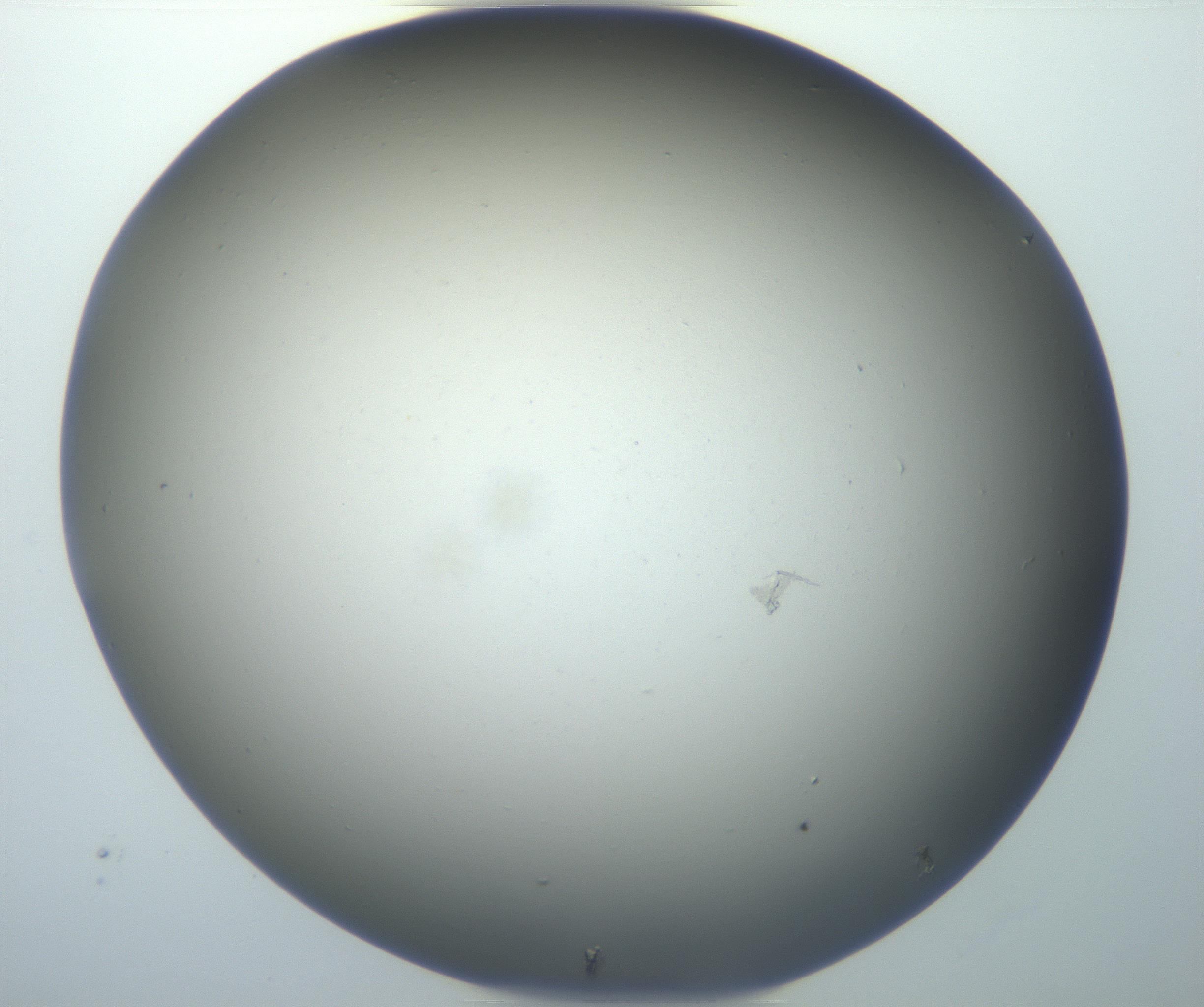 RI01_03_000_0212_Proj1_Clon1_MC_0000MC102801_006_161013_12_02_02_00_99_002_001_RAI.jpg