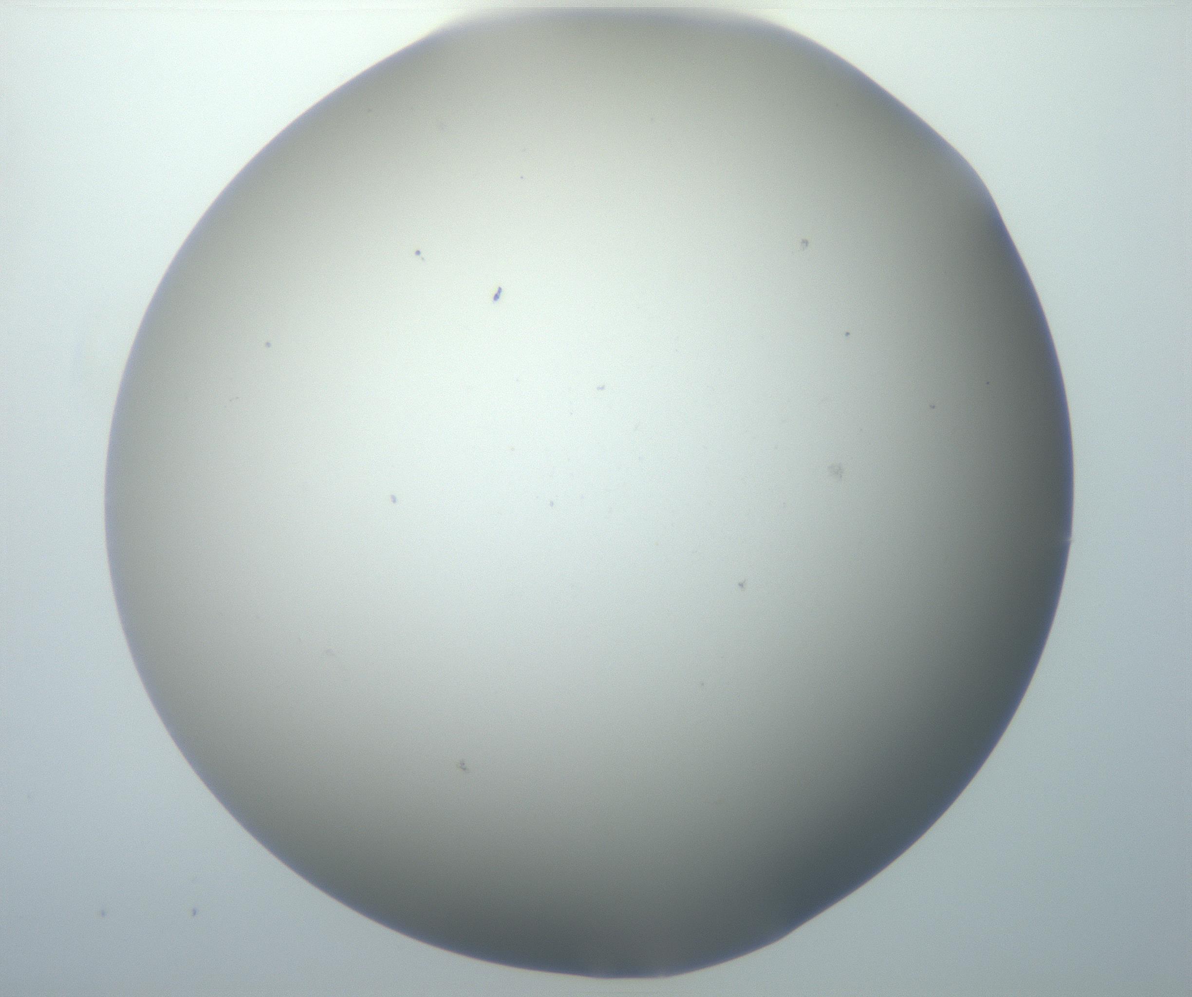 RI01_03_000_0212_Proj1_Clon1_MC_0000MC102801_006_161013_12_04_01_00_99_002_001_RAI.jpg