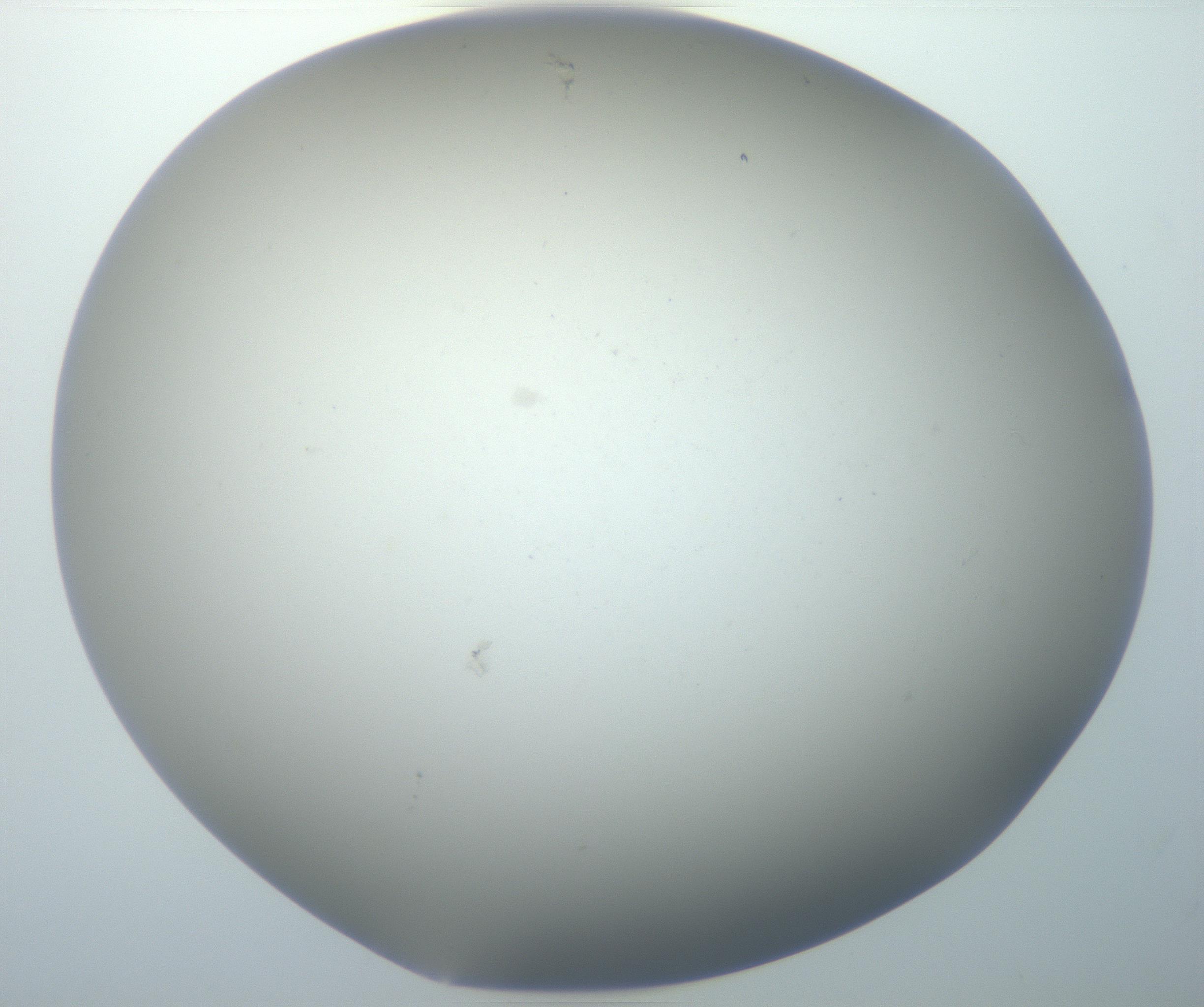 RI01_03_000_0212_Proj1_Clon1_MC_0000MC102801_006_161013_12_04_02_00_99_002_001_RAI.jpg