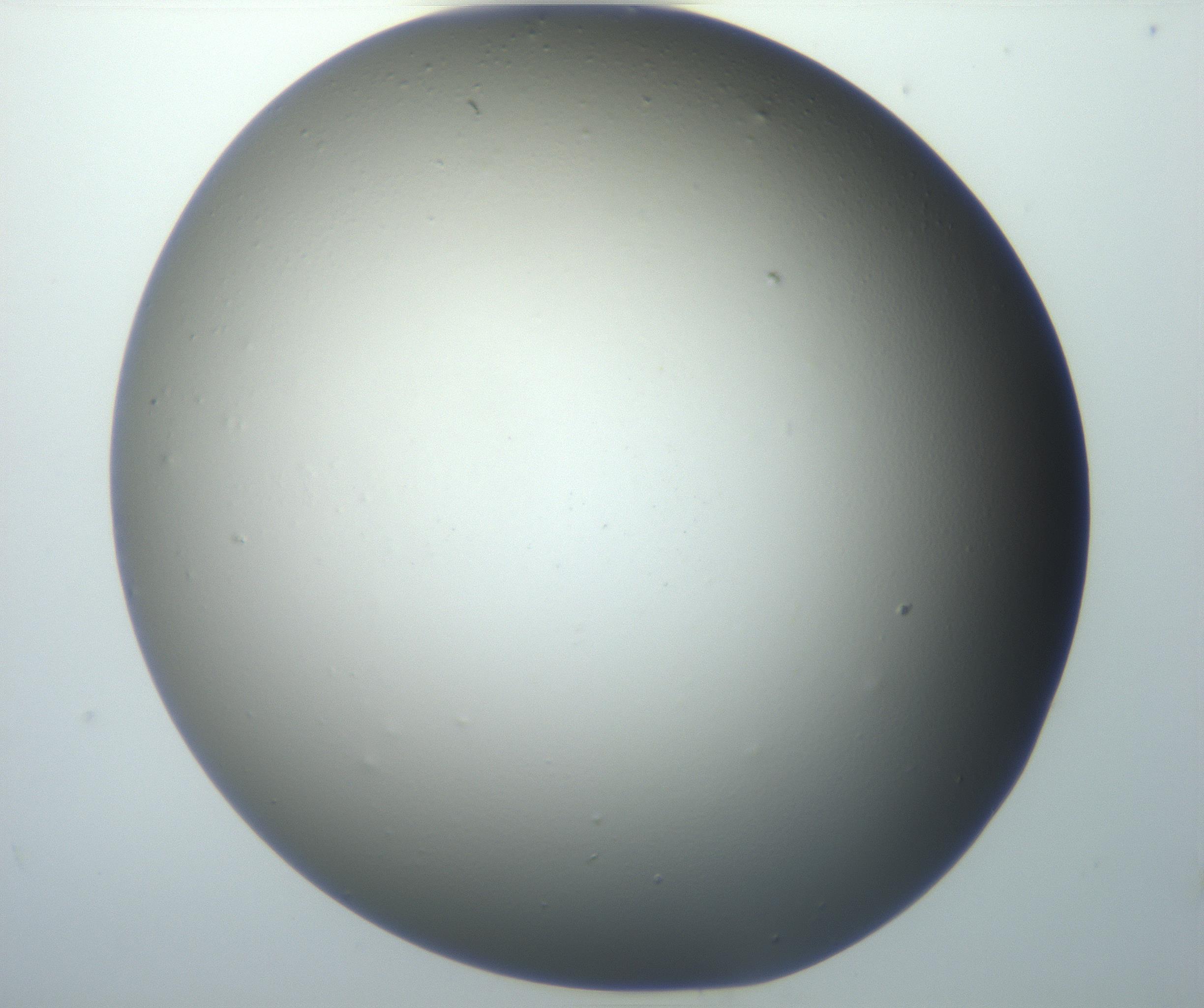 RI01_03_000_0212_Proj1_Clon1_MC_0000MC102801_006_161013_12_05_01_00_99_002_001_RAI.jpg