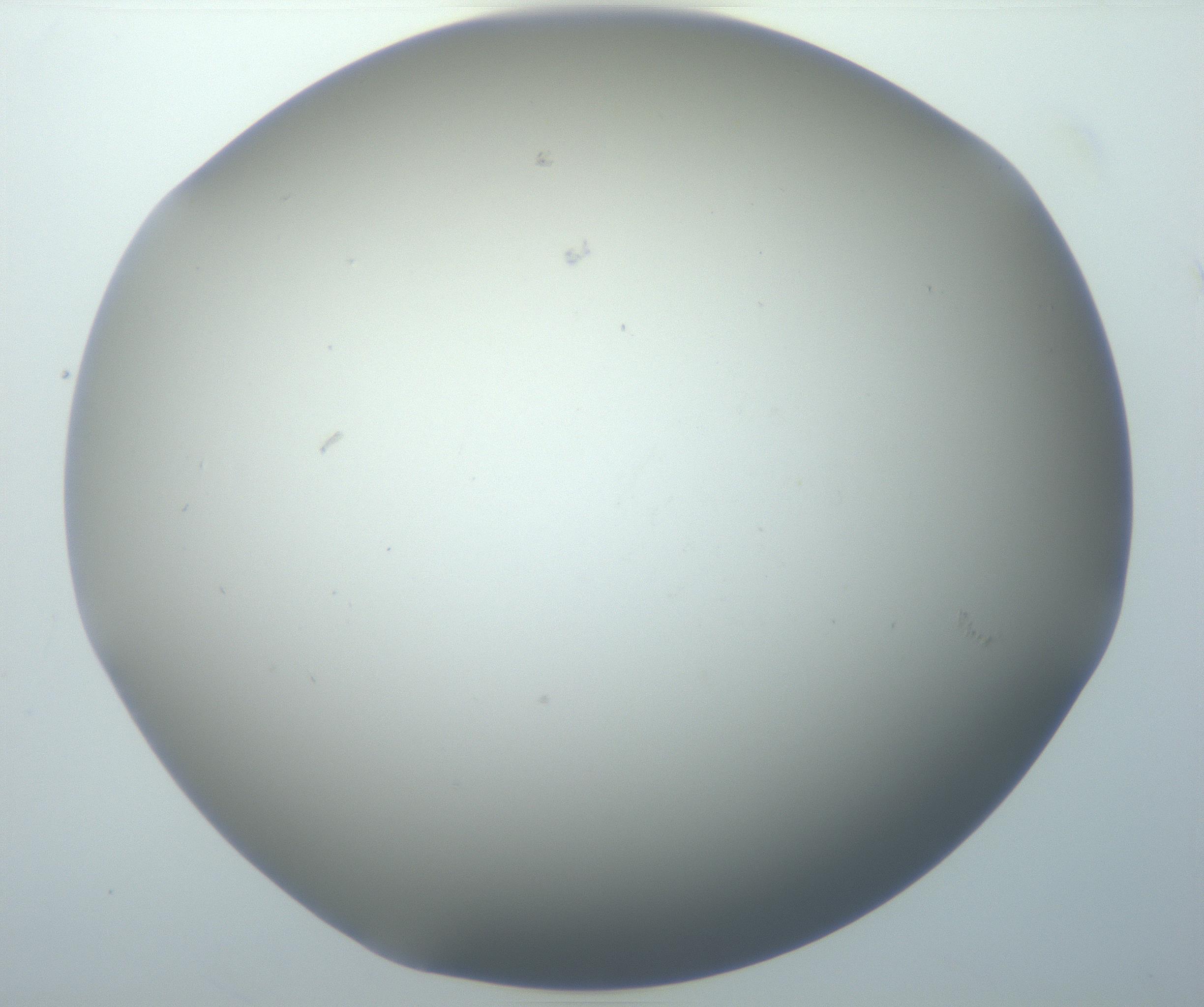 RI01_03_000_0212_Proj1_Clon1_MC_0000MC102801_006_161013_12_07_01_00_99_002_001_RAI.jpg