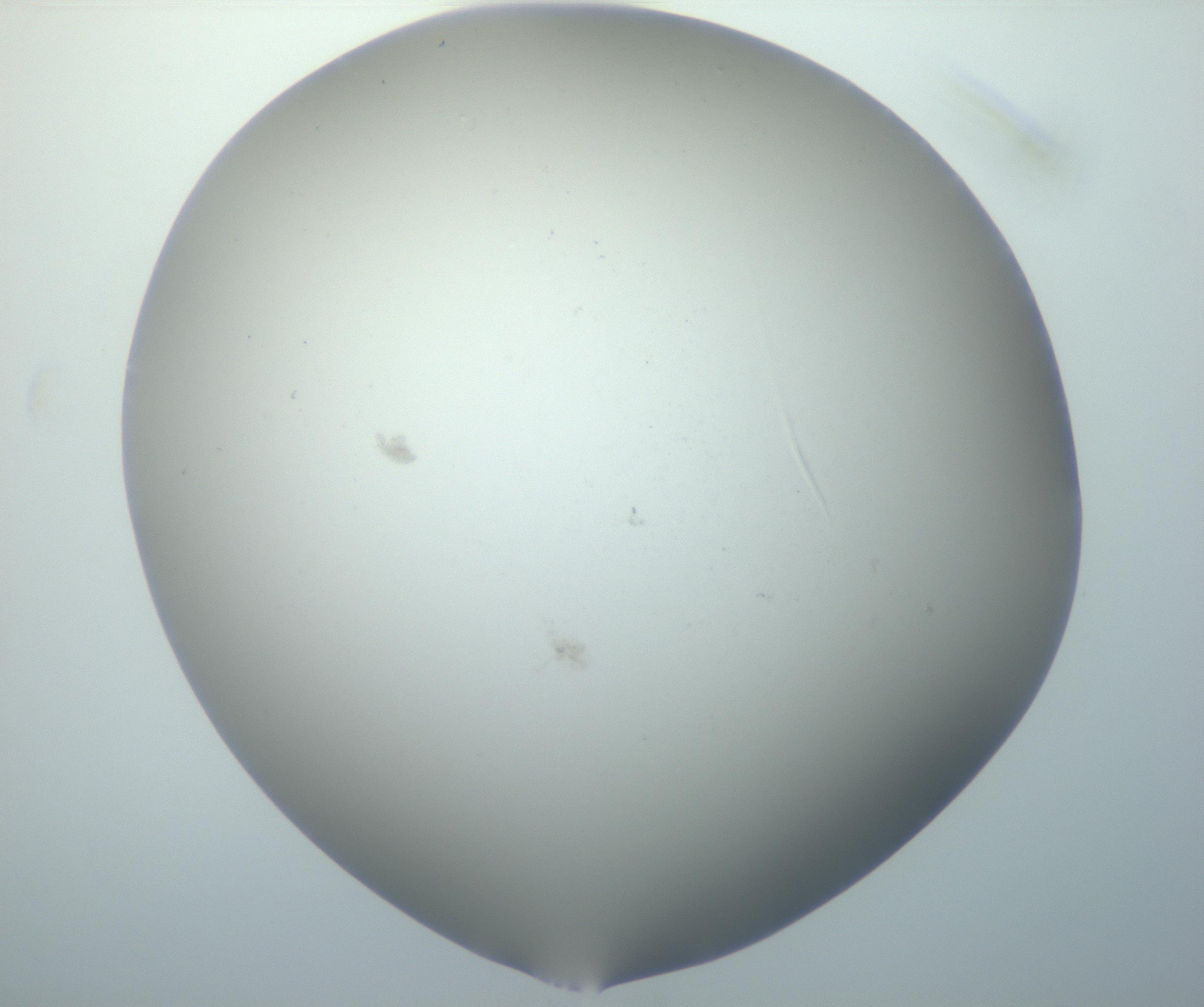 RI01_03_000_0212_Proj1_Clon1_MC_0000MC102801_006_161013_12_07_02_00_99_002_001_RAI.jpg