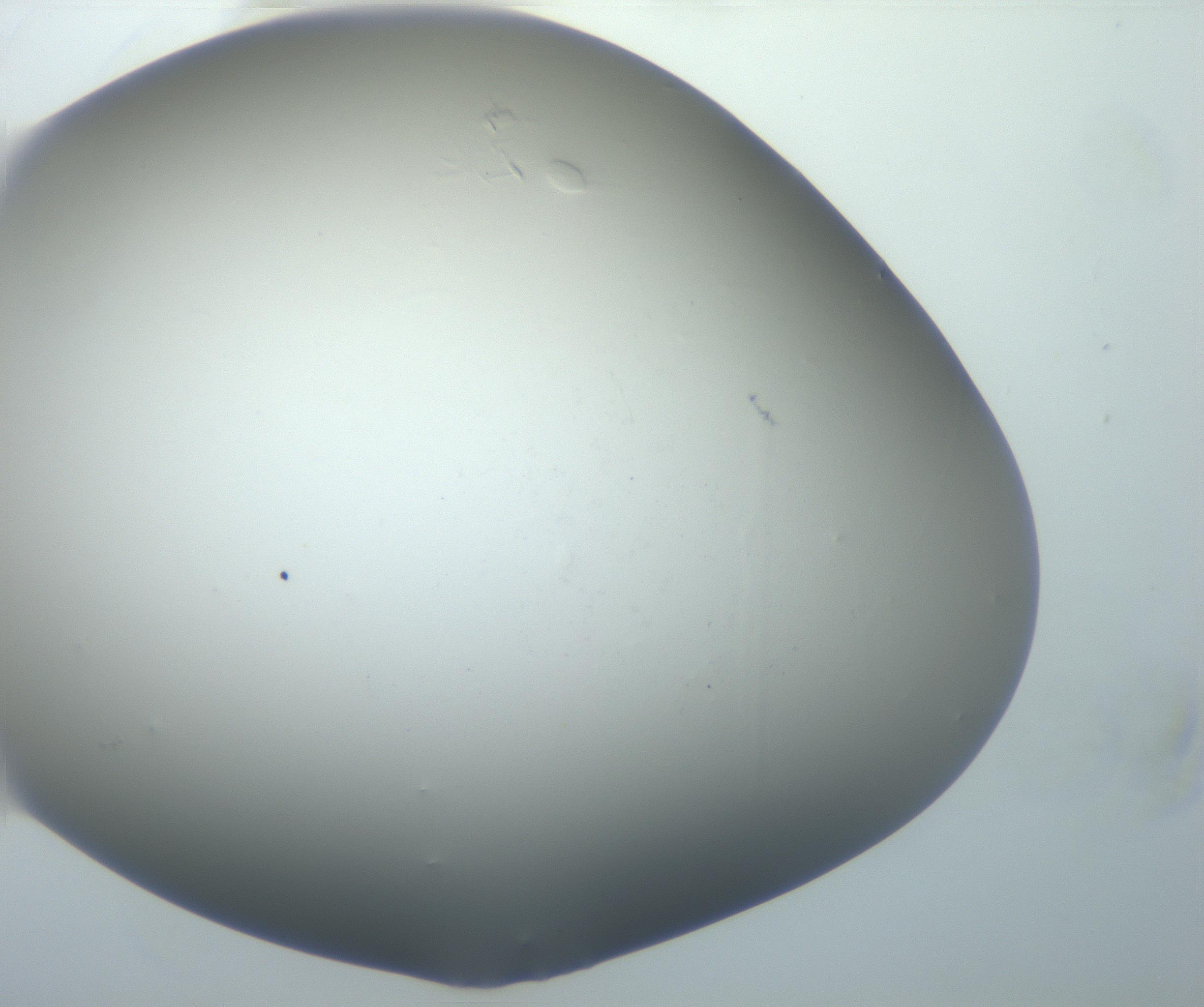 RI01_03_000_0212_Proj1_Clon1_MC_0000MC102801_006_161013_12_08_02_00_99_002_001_RAI.jpg