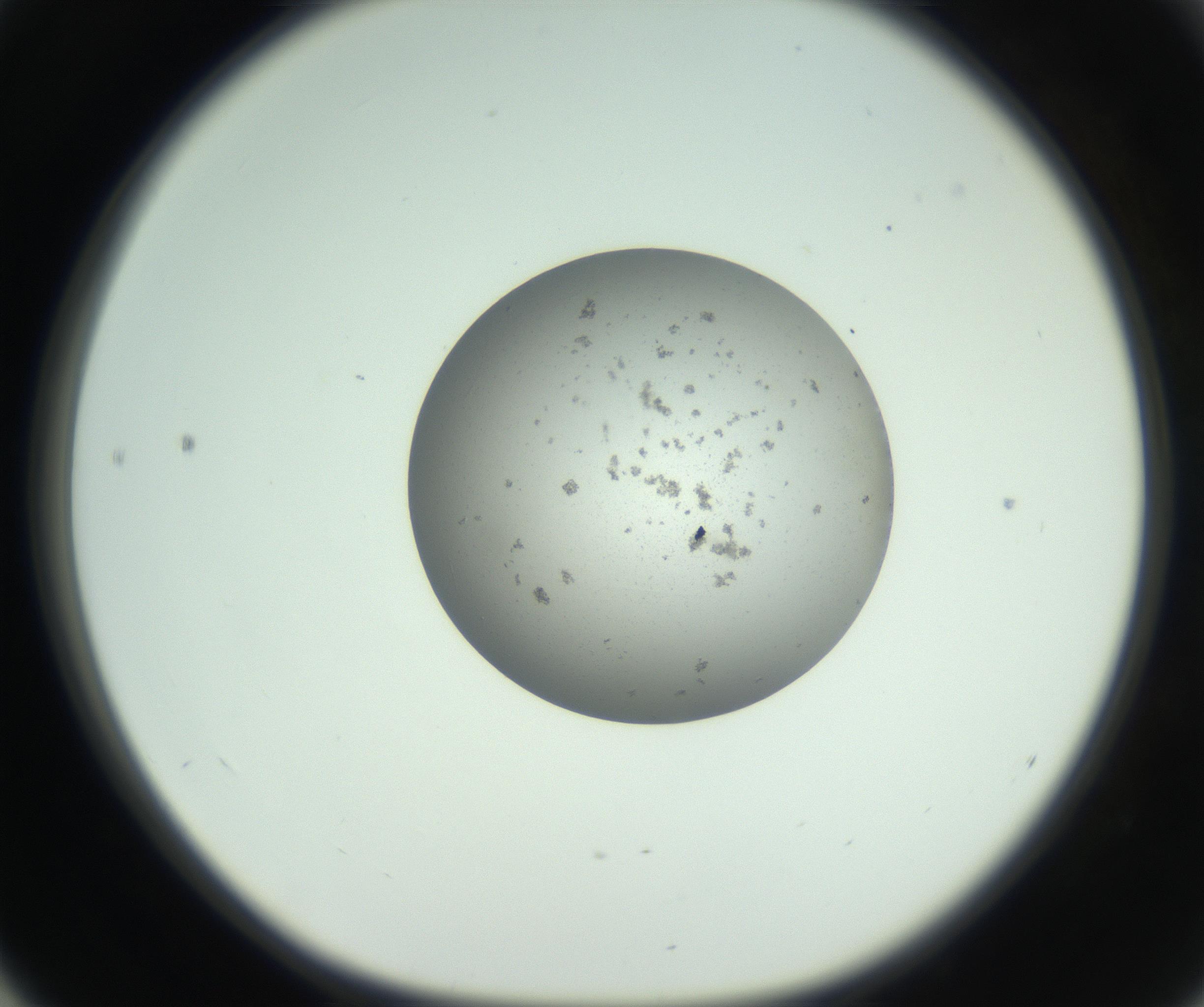 RI01_03_000_0212_Proj1_Clon1_MC_0000MC102803_006_161007_04_05_01_00_99_002_001_RAI.jpg