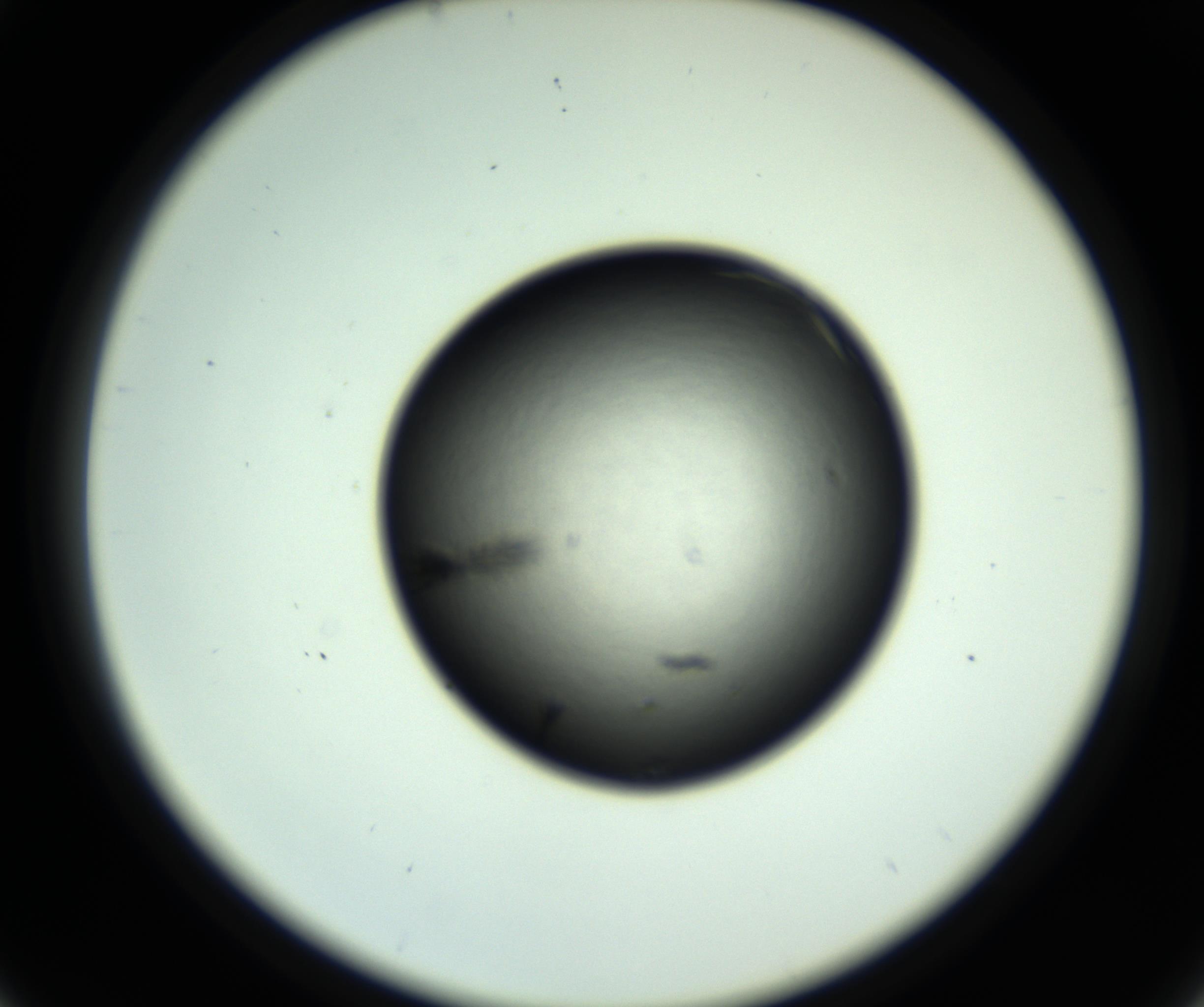 RI01_03_000_0212_Proj1_Clon1_MC_0000MC102803_007_161011_05_03_02_00_98_002_001_RAI.jpg