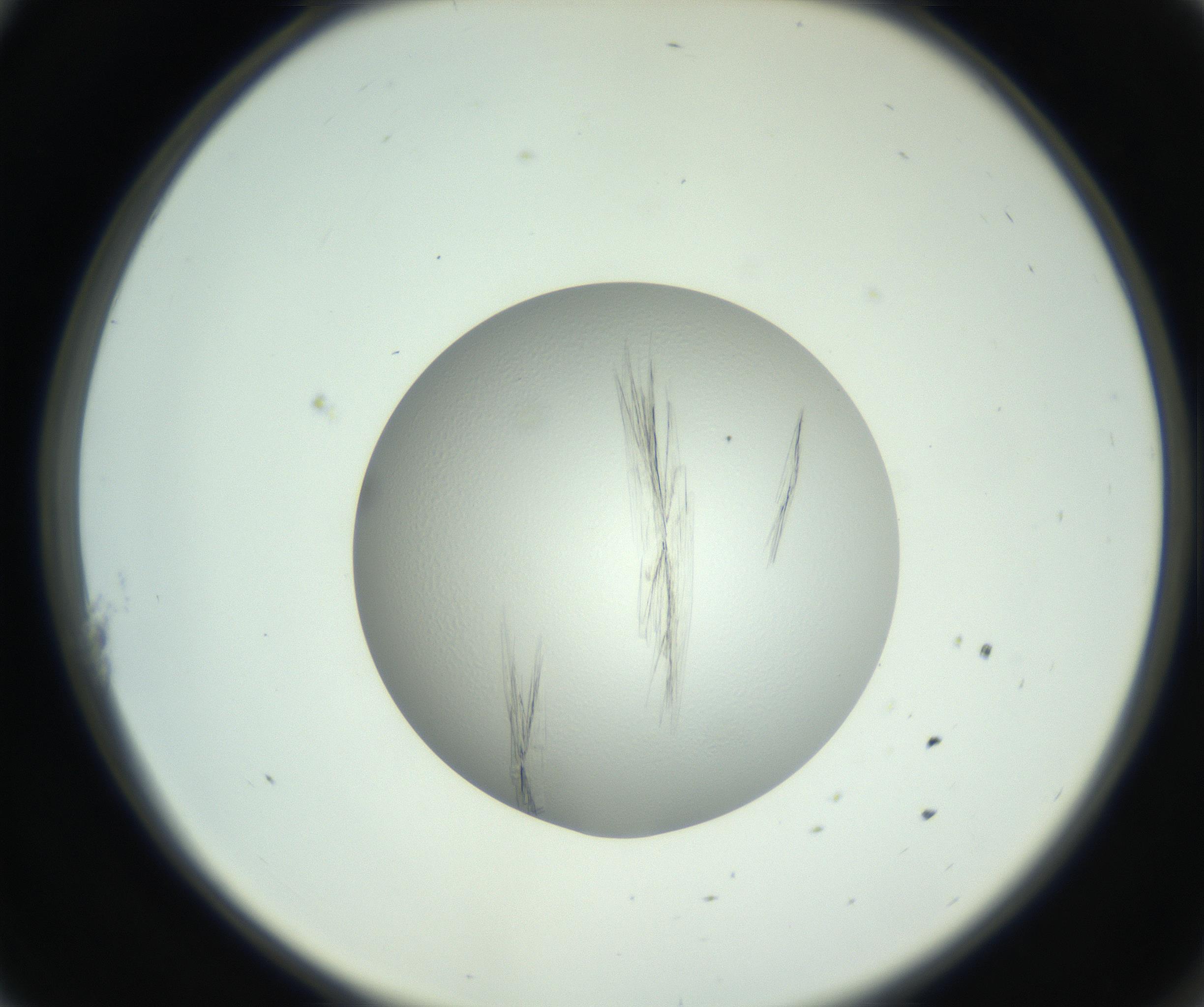 RI01_03_000_0212_Proj1_Clon1_MC_0000MC102804_006_161007_11_01_02_00_99_002_001_RAI.jpg