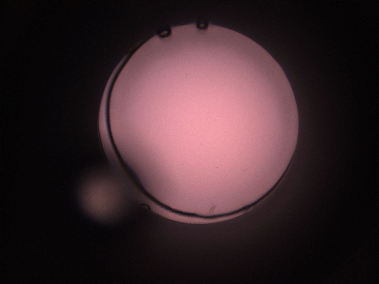 05i3_K9_ImagerDefaults_1.jpg