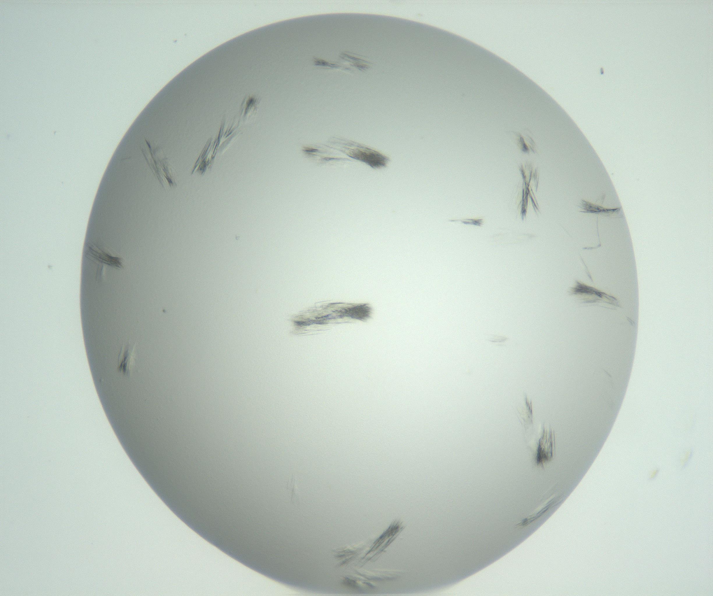 RI01_03_000_0212_Proj1_Clon1_MC_0000MC102804_008_161018_11_05_02_00_99_002_001_RAI.jpg