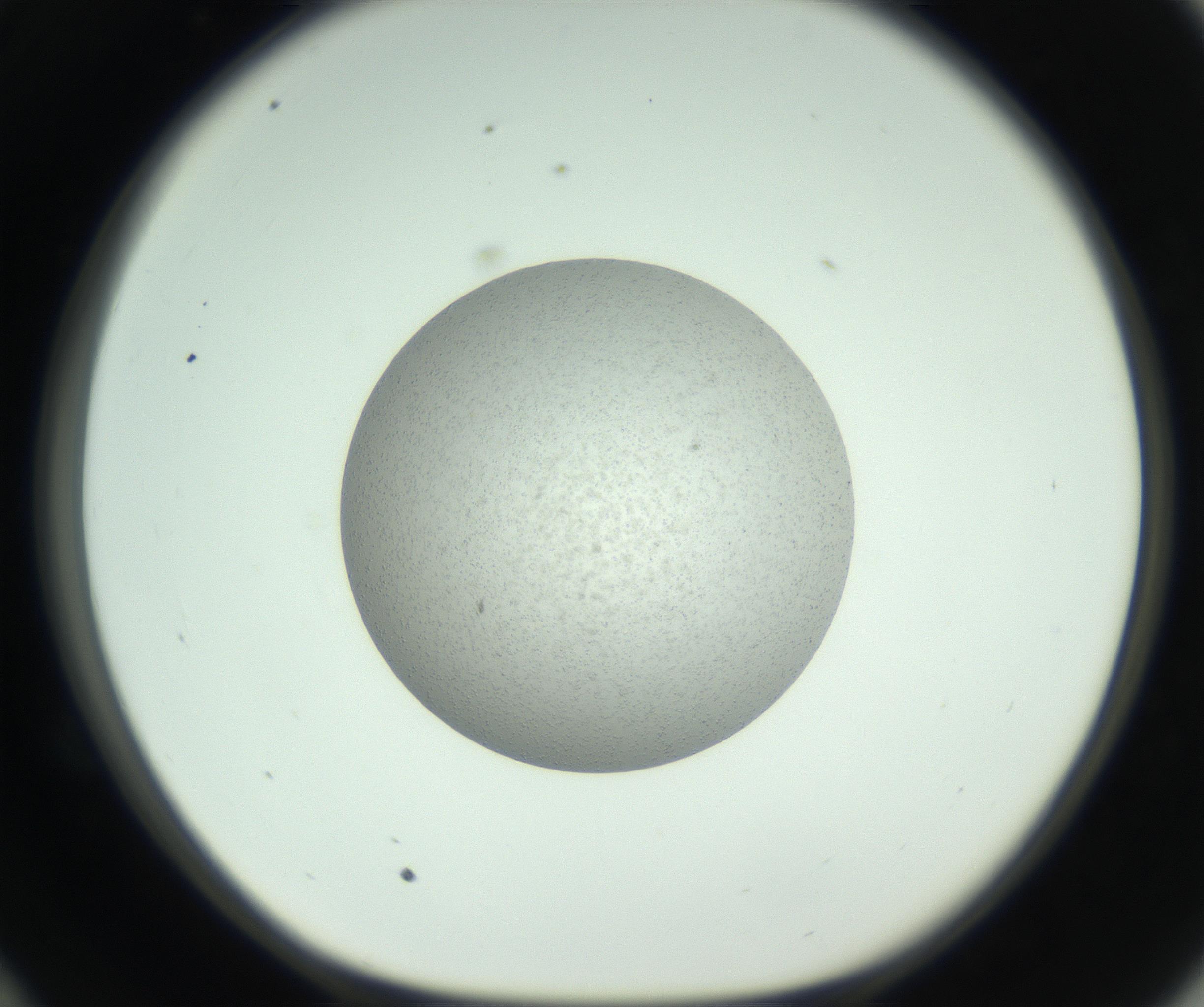 RI01_03_000_0212_Proj1_Clon1_MC_0000MC102806_006_161007_10_05_01_00_99_002_001_RAI.jpg