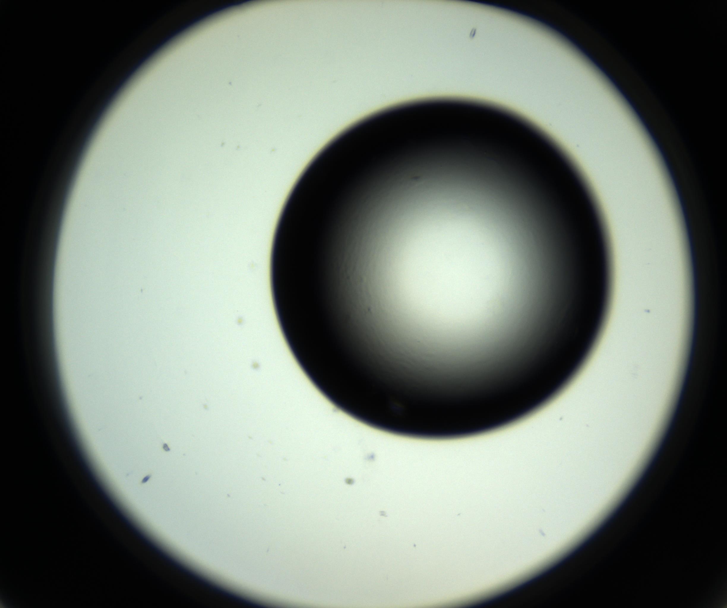 RI01_03_000_0212_Proj1_Clon1_MC_0000MC102808_006_161013_01_02_02_00_98_002_001_RAI.jpg