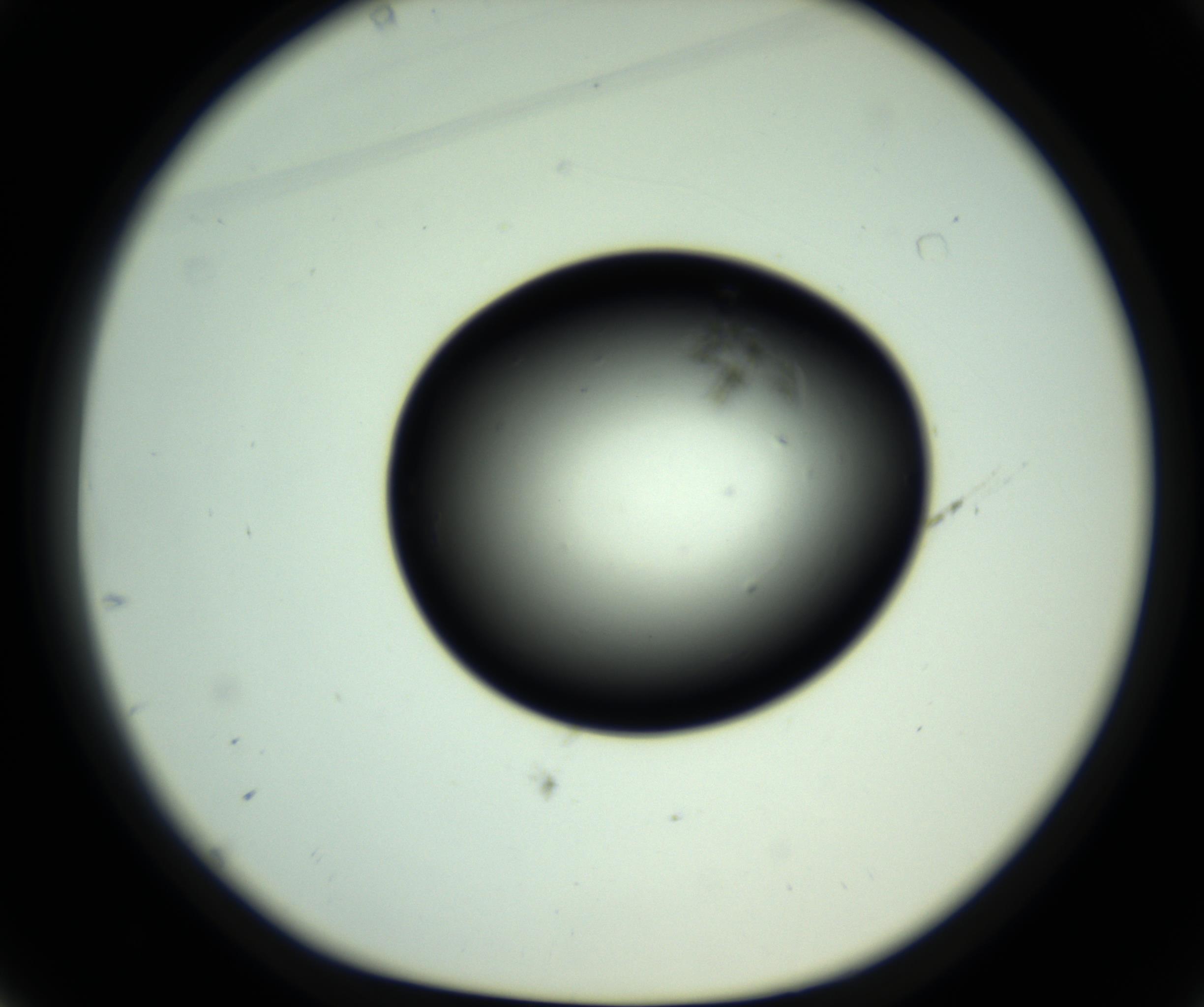 RI01_03_000_0212_Proj1_Clon1_MC_0000MC102808_006_161013_01_04_01_00_98_002_001_RAI.jpg