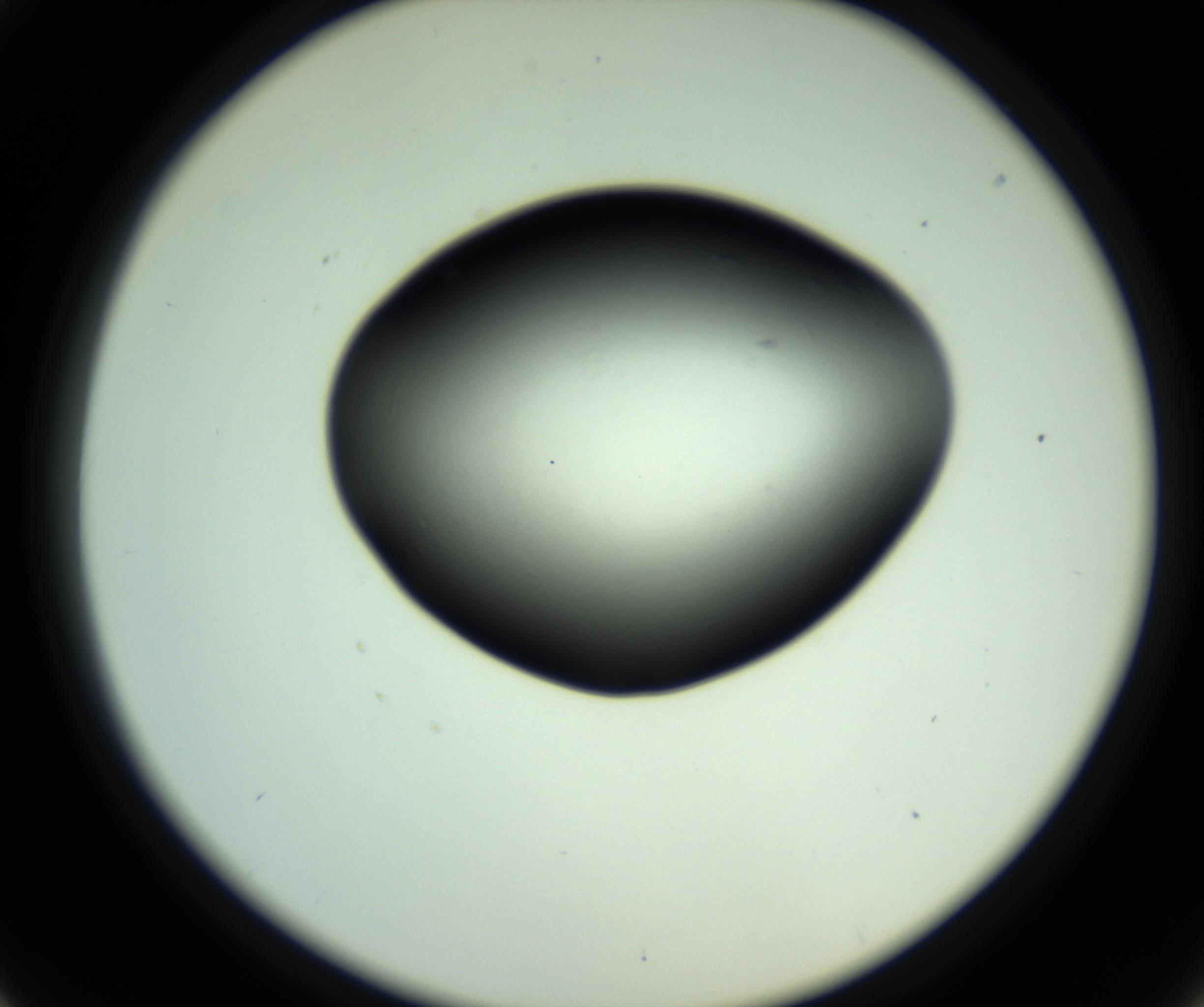 RI01_03_000_0212_Proj1_Clon1_MC_0000MC102808_006_161013_01_04_02_00_98_002_001_RAI.jpg