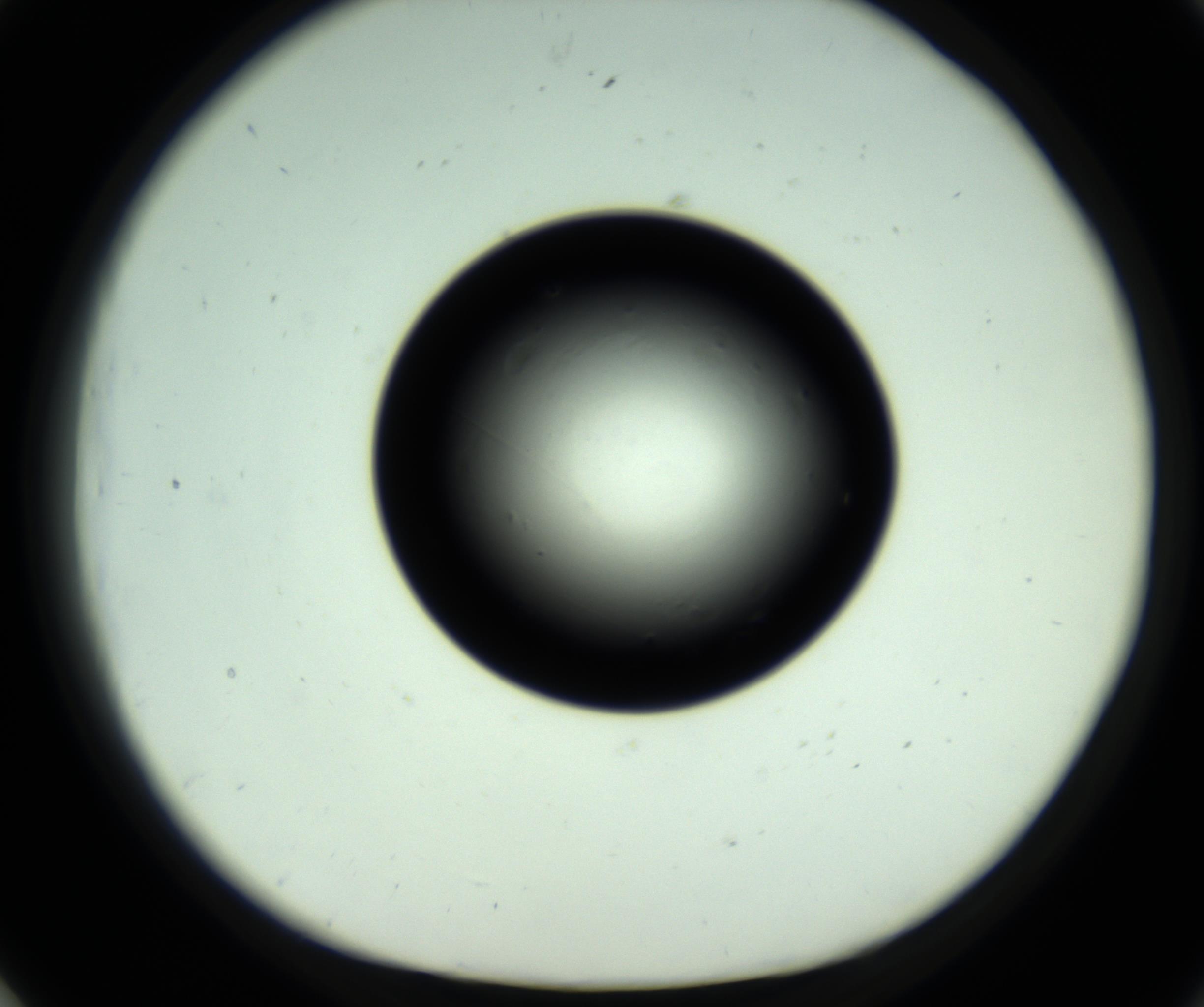 RI01_03_000_0212_Proj1_Clon1_MC_0000MC102808_006_161013_01_07_01_00_98_002_001_RAI.jpg