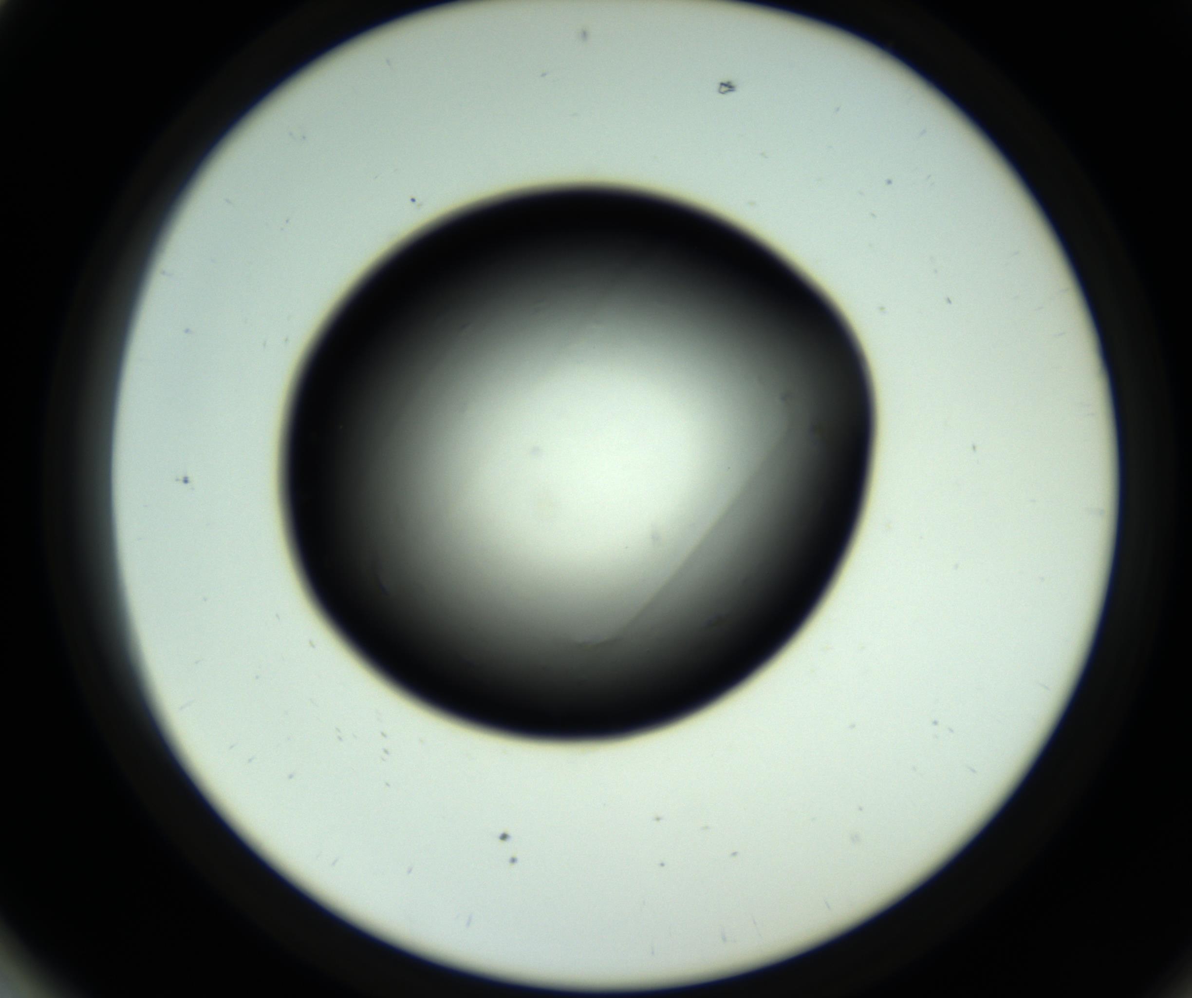 RI01_03_000_0212_Proj1_Clon1_MC_0000MC102808_006_161013_01_07_02_00_98_002_001_RAI.jpg