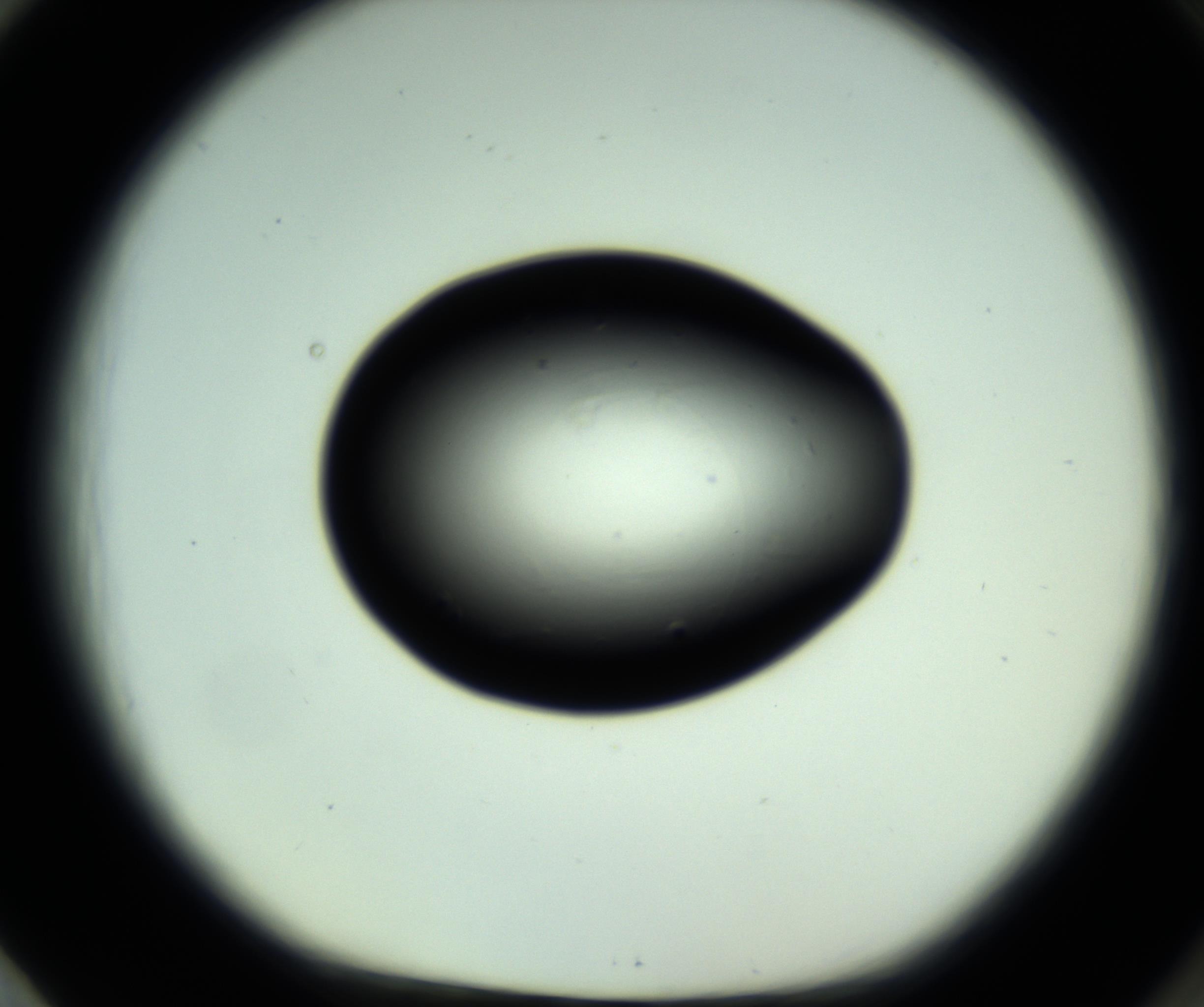 RI01_03_000_0212_Proj1_Clon1_MC_0000MC102808_006_161013_01_08_01_00_98_002_001_RAI.jpg