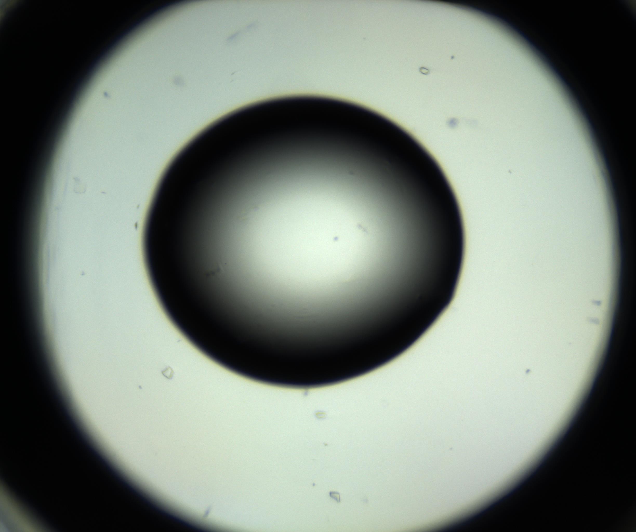 RI01_03_000_0212_Proj1_Clon1_MC_0000MC102808_006_161013_01_08_02_00_98_002_001_RAI.jpg