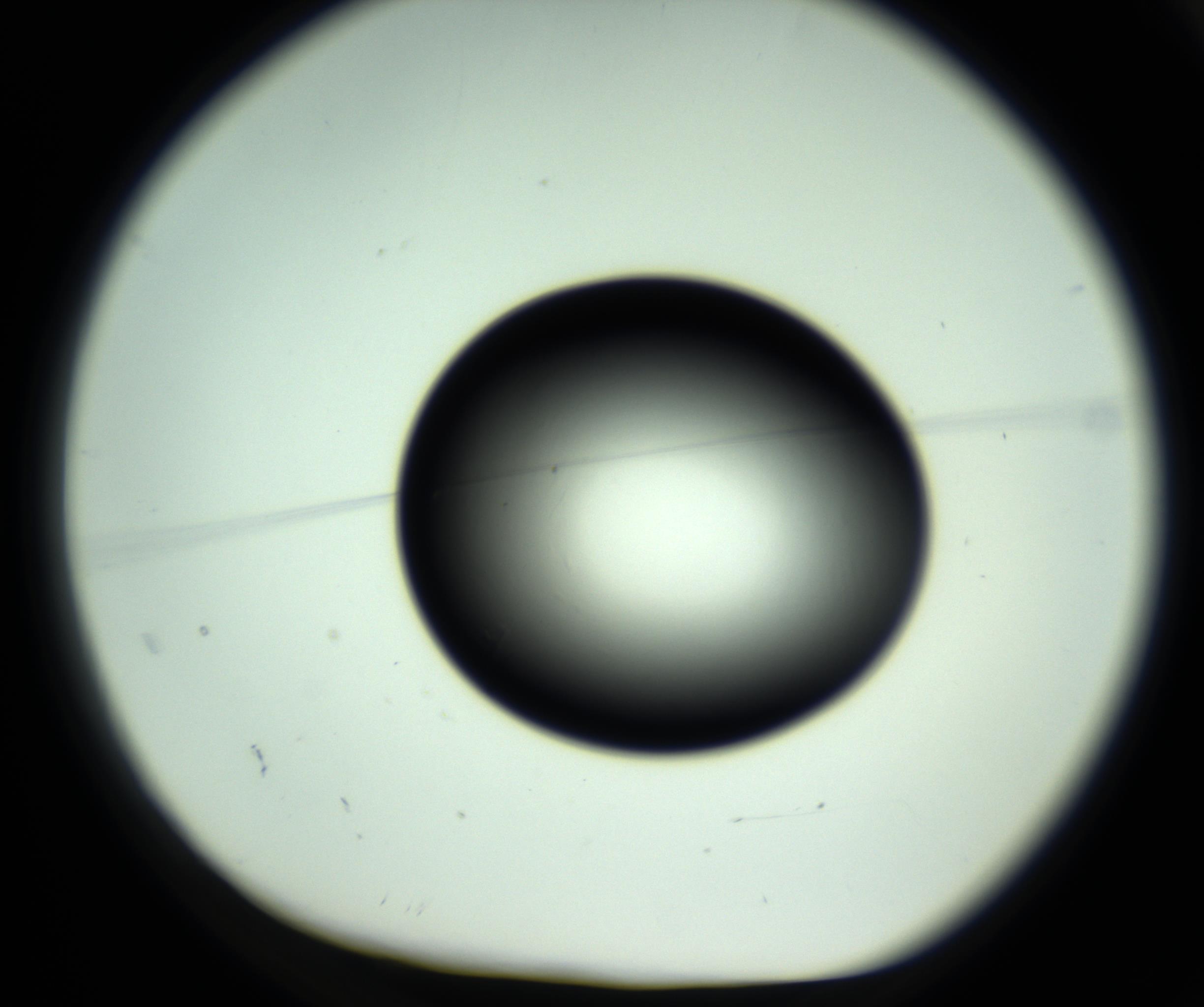 RI01_03_000_0212_Proj1_Clon1_MC_0000MC102808_006_161013_02_01_01_00_98_002_001_RAI.jpg