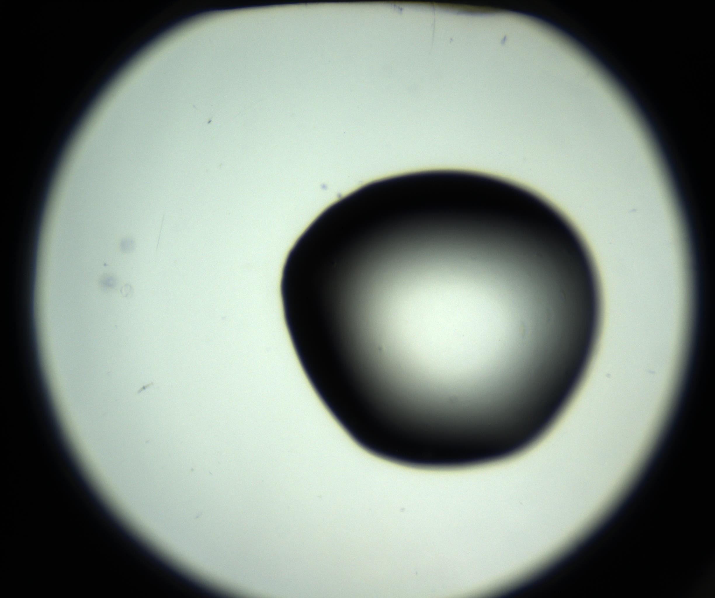 RI01_03_000_0212_Proj1_Clon1_MC_0000MC102808_006_161013_02_01_02_00_98_002_001_RAI.jpg