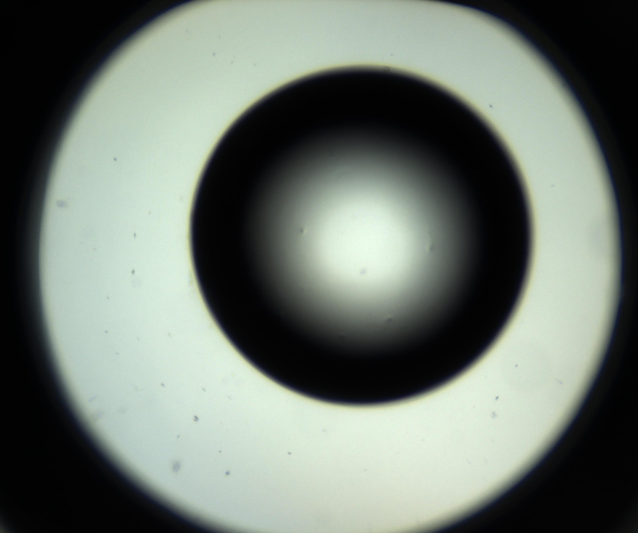 RI01_03_000_0212_Proj1_Clon1_MC_0000MC102808_006_161013_02_02_02_00_98_002_001_RAI.jpg