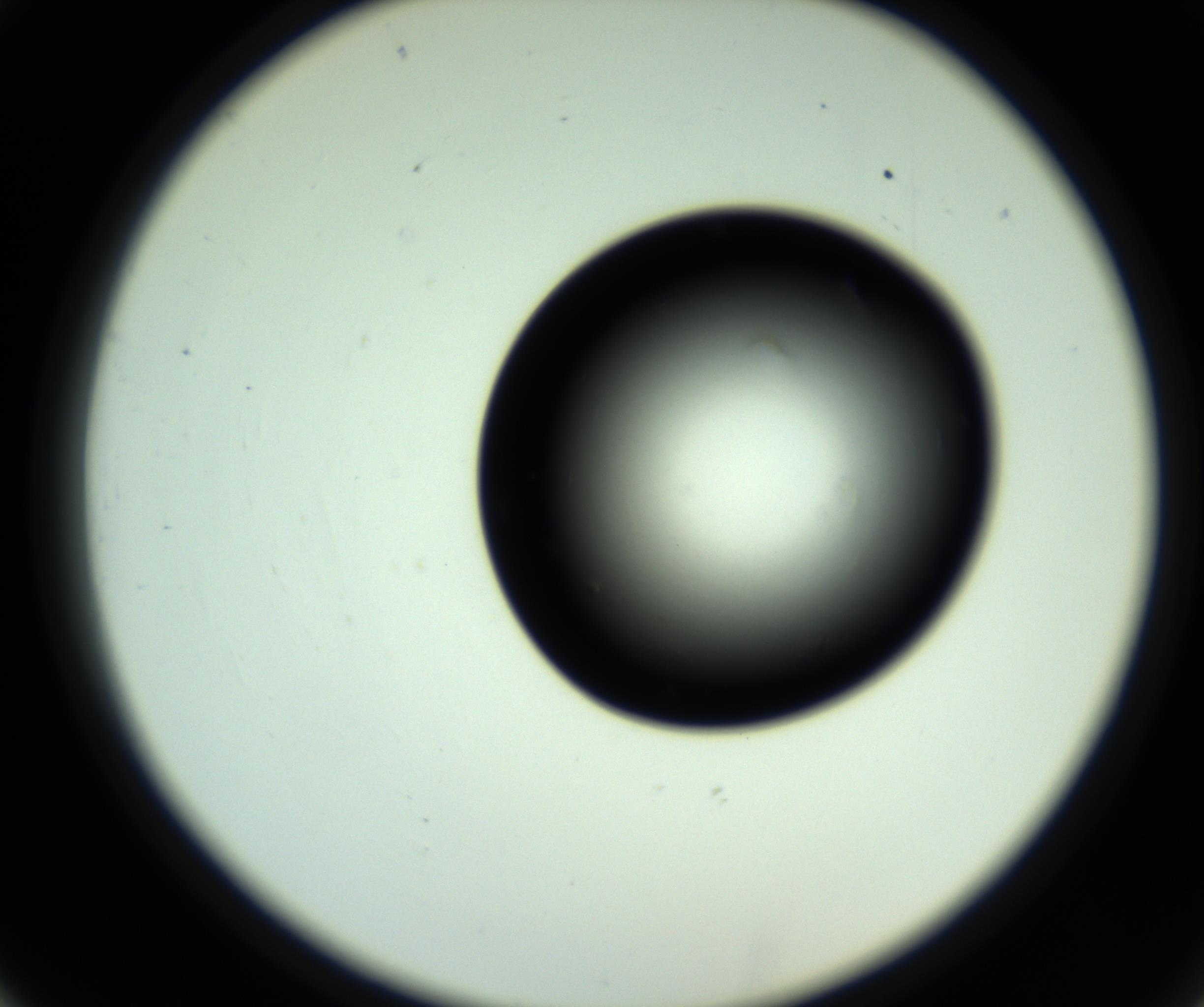 RI01_03_000_0212_Proj1_Clon1_MC_0000MC102808_006_161013_02_03_02_00_98_002_001_RAI.jpg
