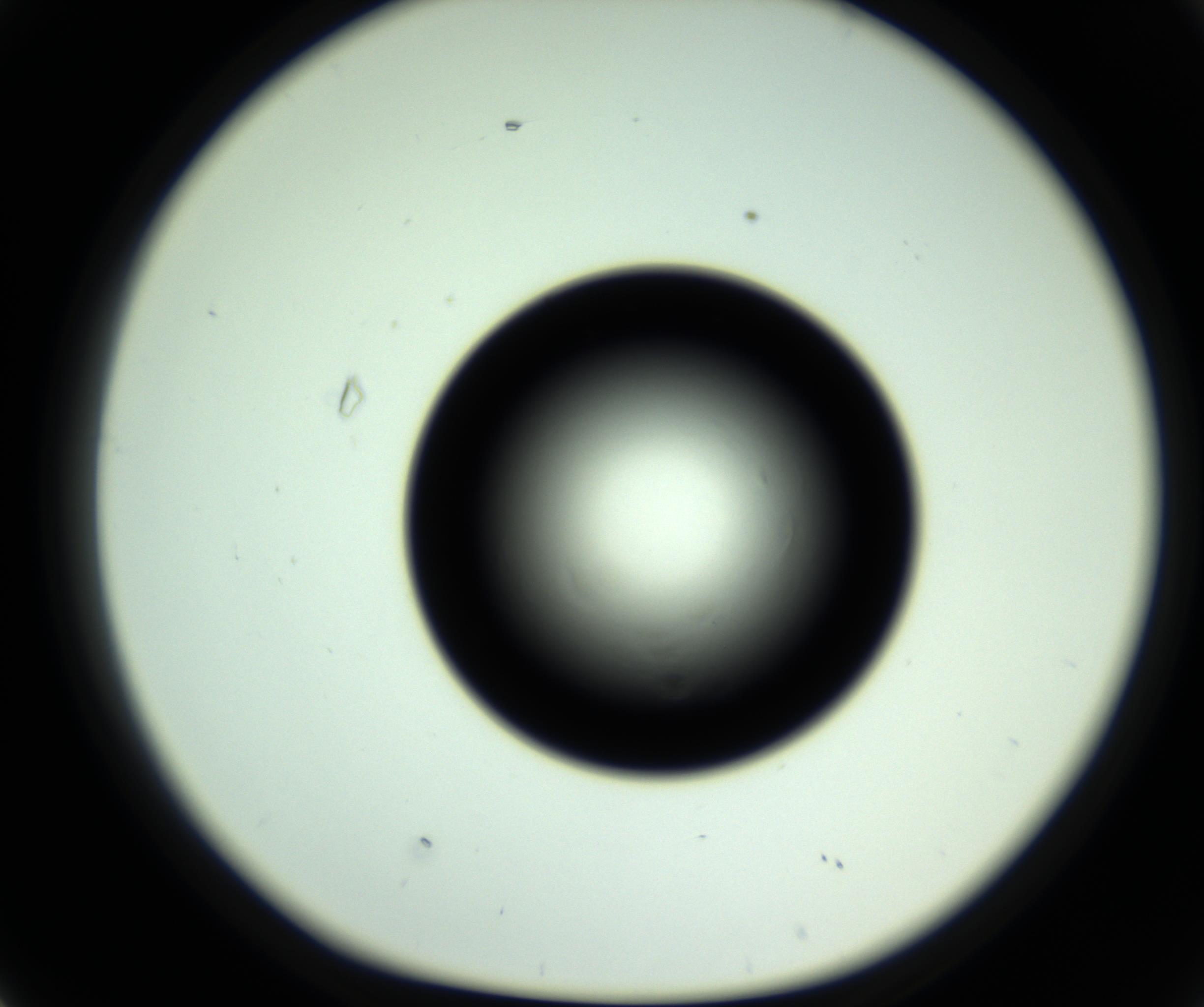 RI01_03_000_0212_Proj1_Clon1_MC_0000MC102808_006_161013_02_04_01_00_98_002_001_RAI.jpg