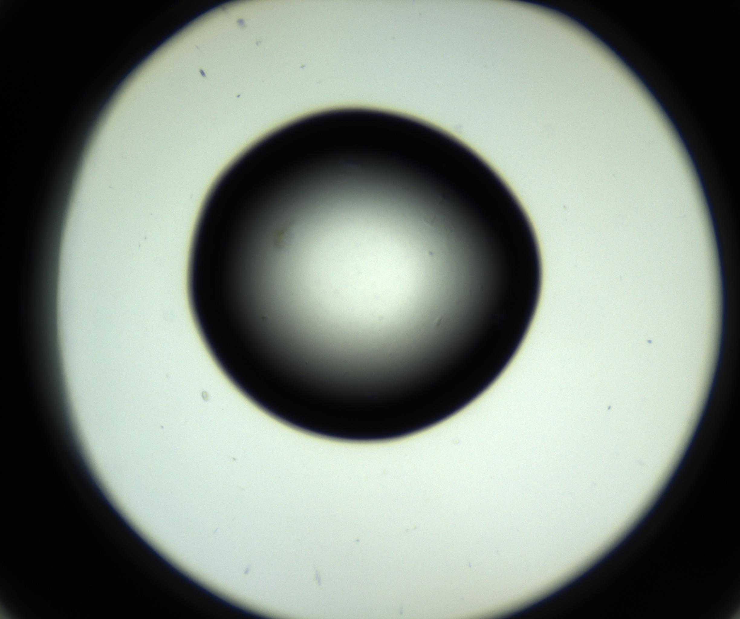 RI01_03_000_0212_Proj1_Clon1_MC_0000MC102808_006_161013_02_04_02_00_98_002_001_RAI.jpg