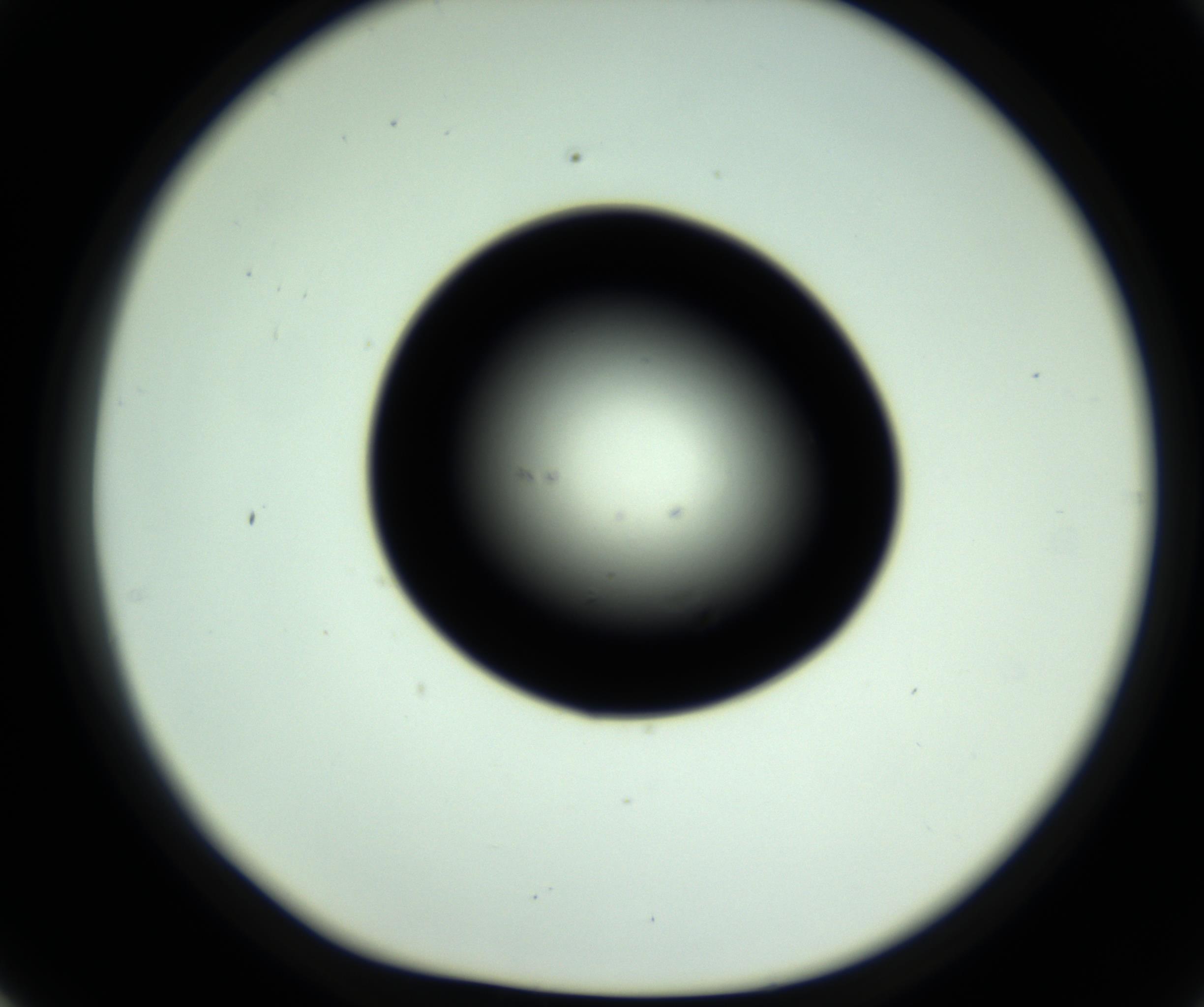 RI01_03_000_0212_Proj1_Clon1_MC_0000MC102808_006_161013_02_05_01_00_98_002_001_RAI.jpg