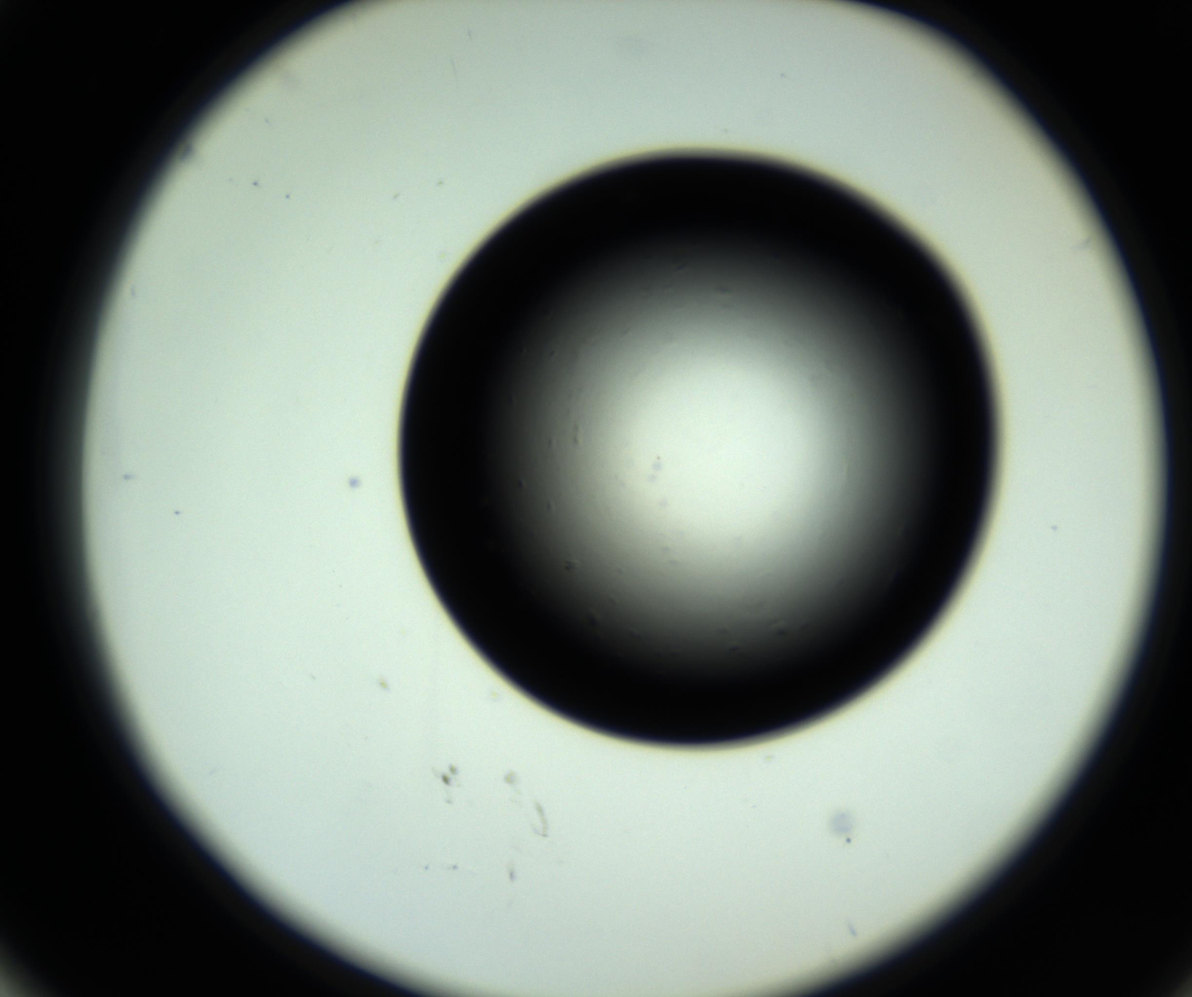 RI01_03_000_0212_Proj1_Clon1_MC_0000MC102808_006_161013_02_05_02_00_98_002_001_RAI.jpg