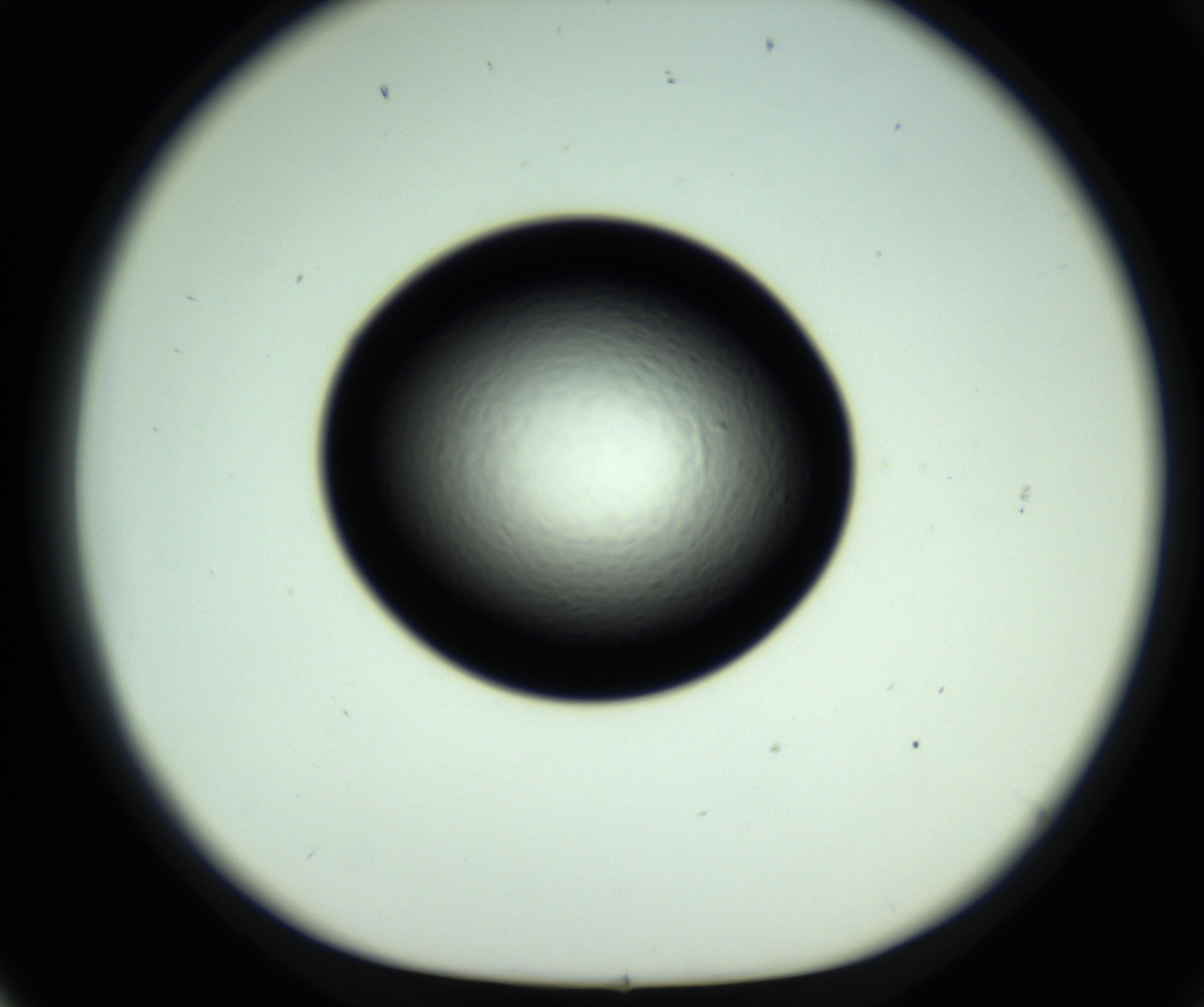 RI01_03_000_0212_Proj1_Clon1_MC_0000MC102808_006_161013_02_06_01_00_98_002_001_RAI.jpg