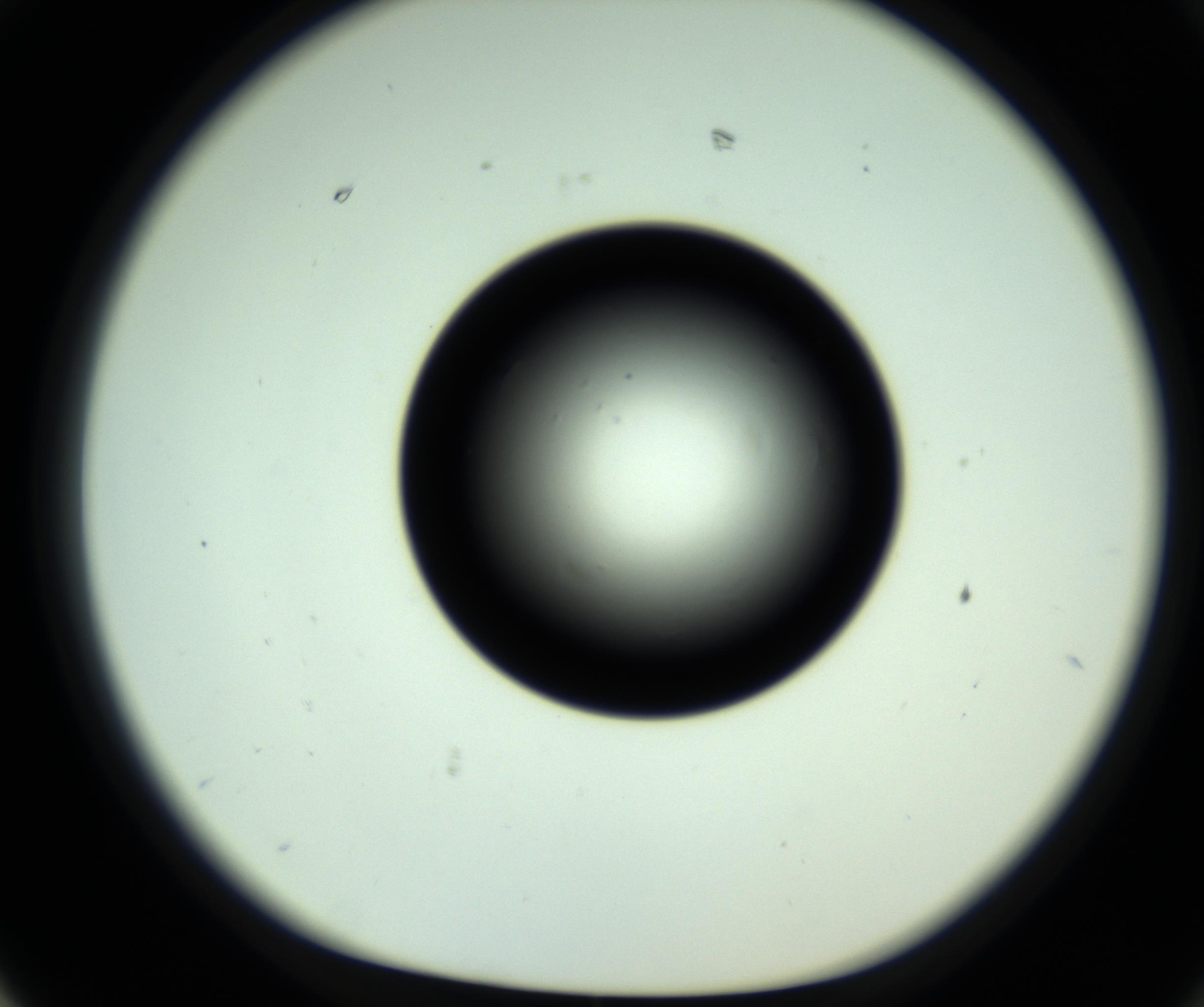 RI01_03_000_0212_Proj1_Clon1_MC_0000MC102808_006_161013_02_07_01_00_98_002_001_RAI.jpg