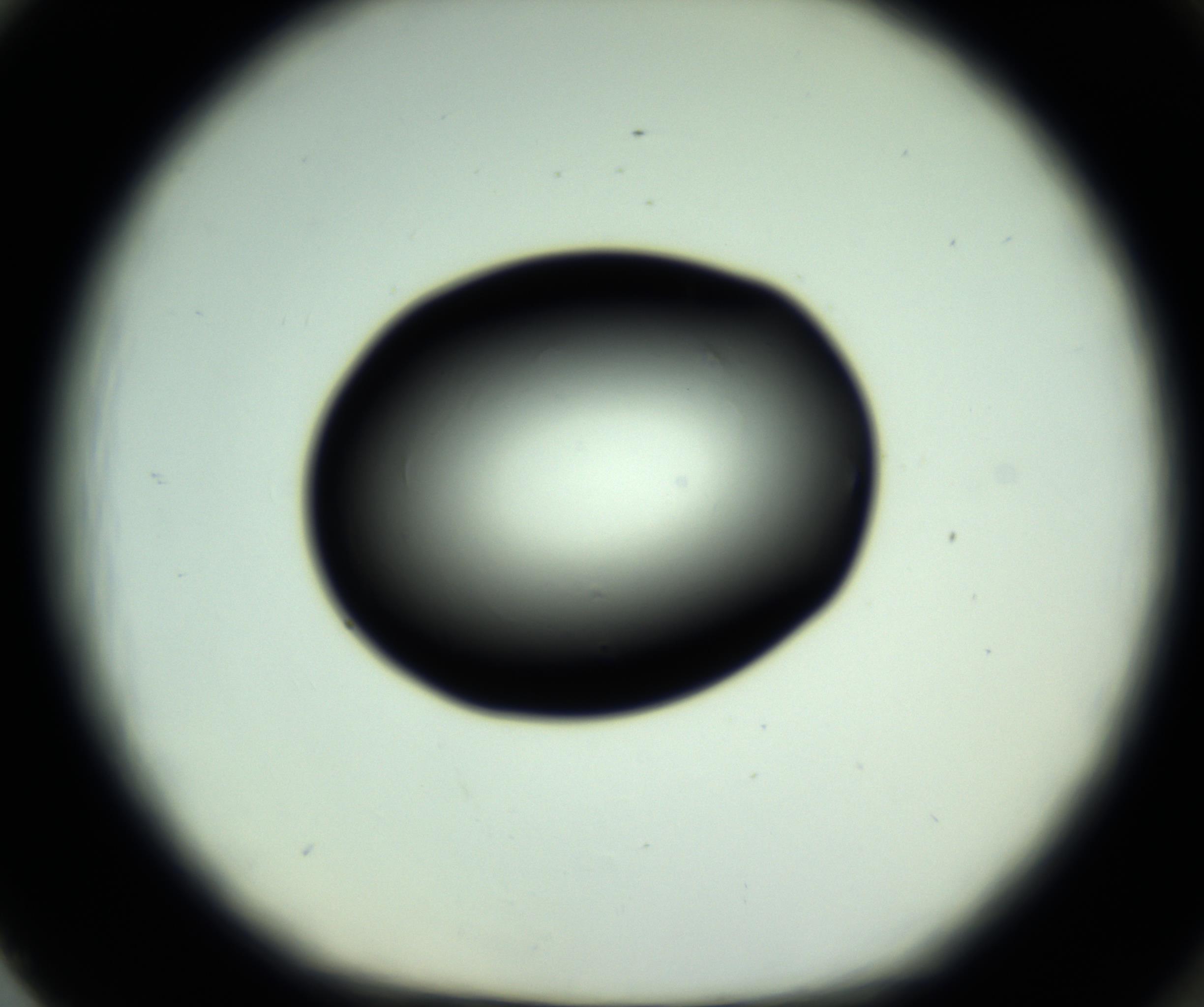 RI01_03_000_0212_Proj1_Clon1_MC_0000MC102808_006_161013_02_08_01_00_98_002_001_RAI.jpg