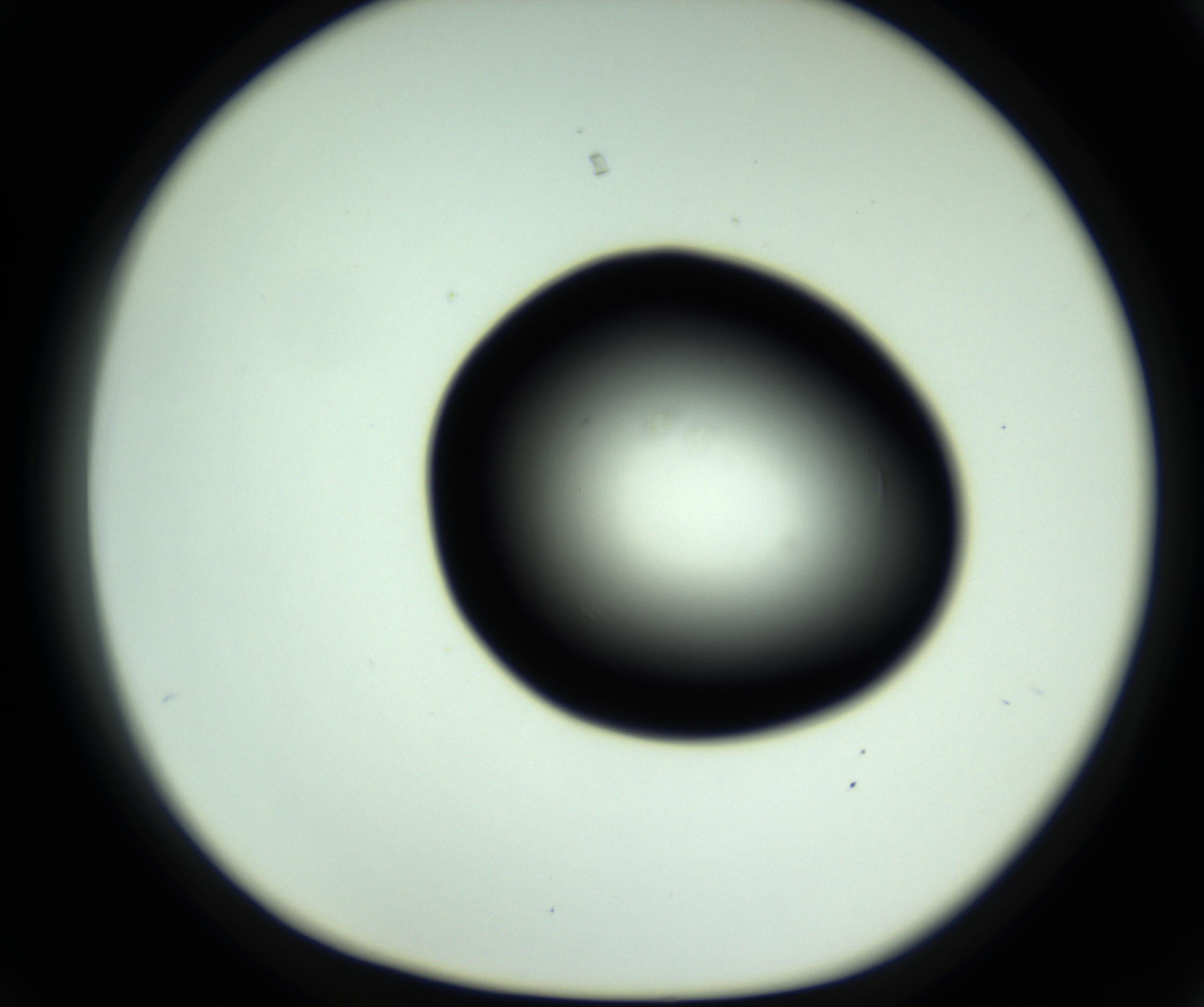 RI01_03_000_0212_Proj1_Clon1_MC_0000MC102808_006_161013_03_03_01_00_98_002_001_RAI.jpg