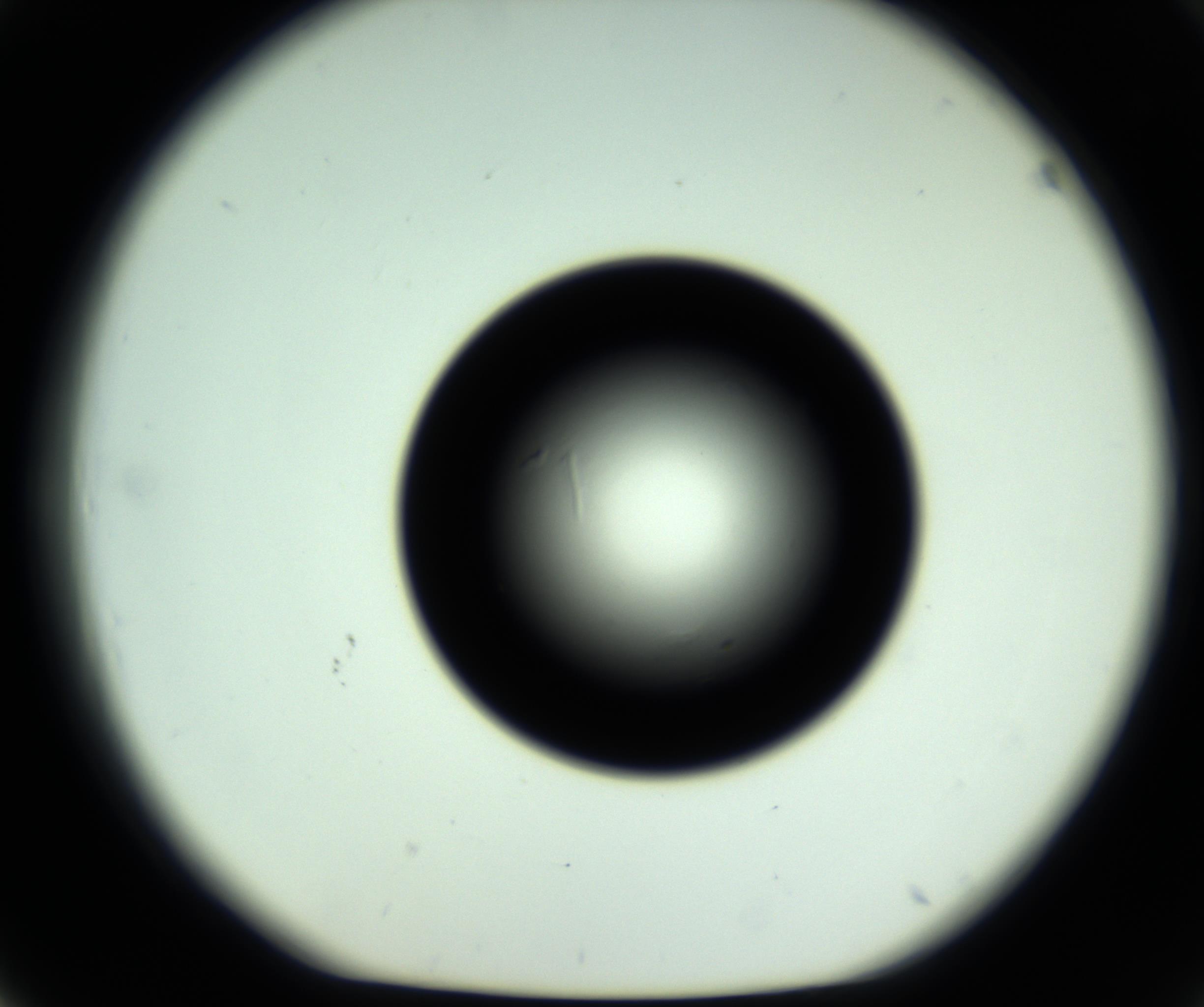 RI01_03_000_0212_Proj1_Clon1_MC_0000MC102808_006_161013_03_04_01_00_98_002_001_RAI.jpg