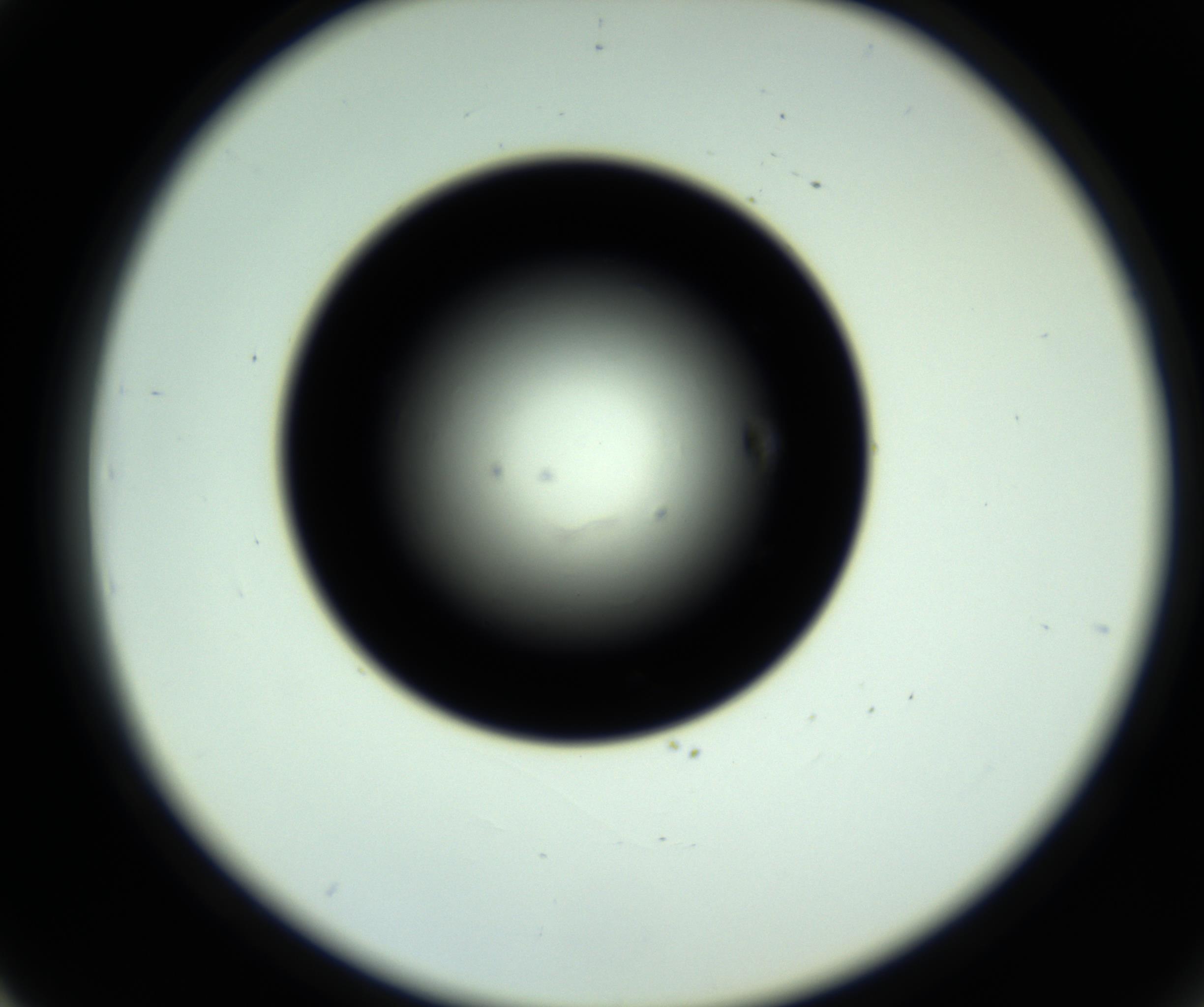 RI01_03_000_0212_Proj1_Clon1_MC_0000MC102808_006_161013_03_04_02_00_98_002_001_RAI.jpg