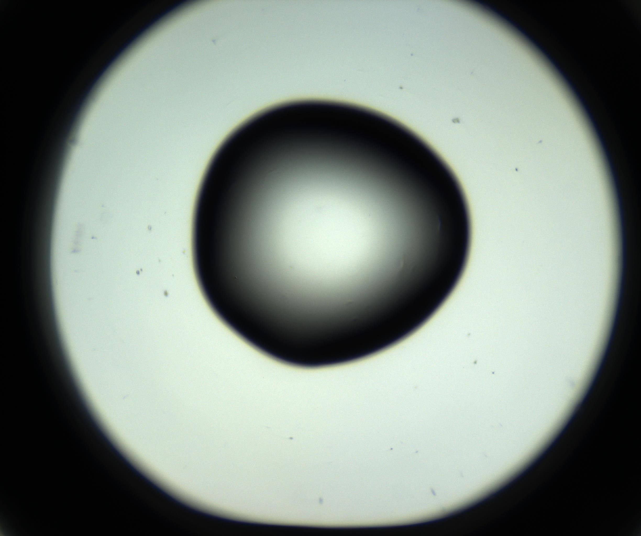 RI01_03_000_0212_Proj1_Clon1_MC_0000MC102808_006_161013_03_05_01_00_98_002_001_RAI.jpg
