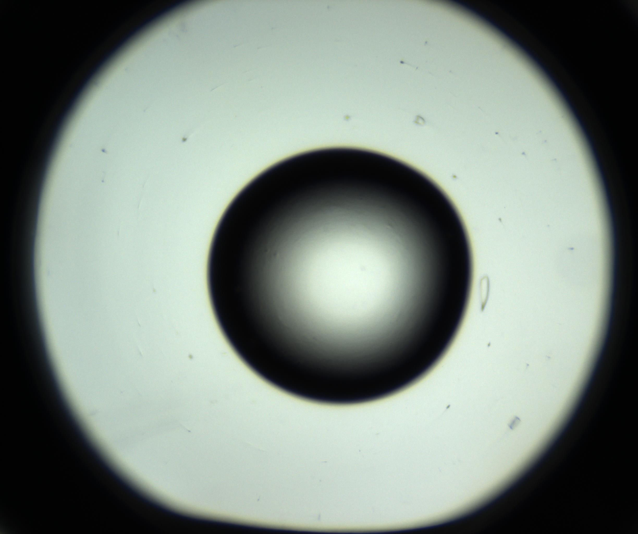 RI01_03_000_0212_Proj1_Clon1_MC_0000MC102808_006_161013_04_01_01_00_98_002_001_RAI.jpg