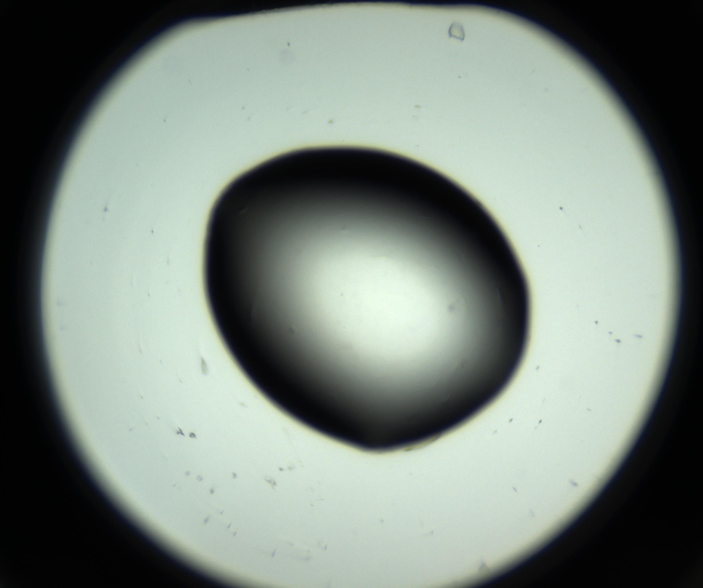 RI01_03_000_0212_Proj1_Clon1_MC_0000MC102808_006_161013_04_01_02_00_98_002_001_RAI.jpg