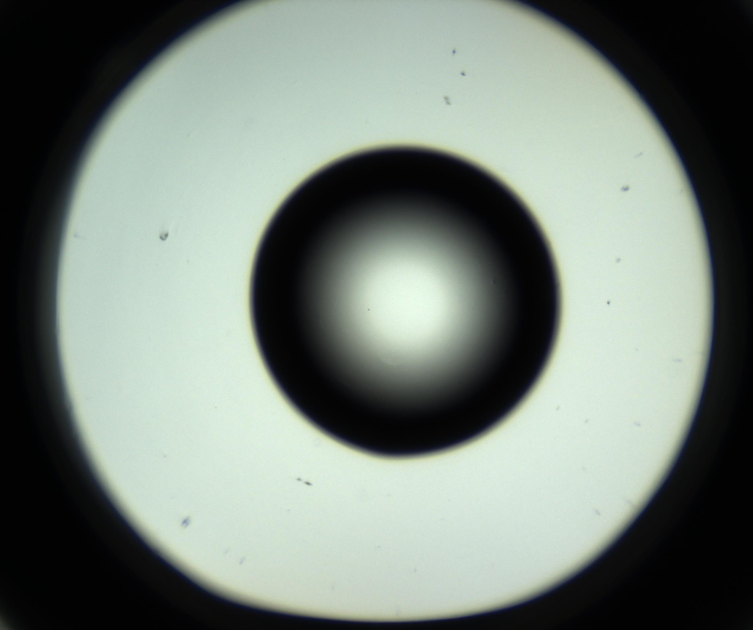 RI01_03_000_0212_Proj1_Clon1_MC_0000MC102808_006_161013_04_03_01_00_98_002_001_RAI.jpg