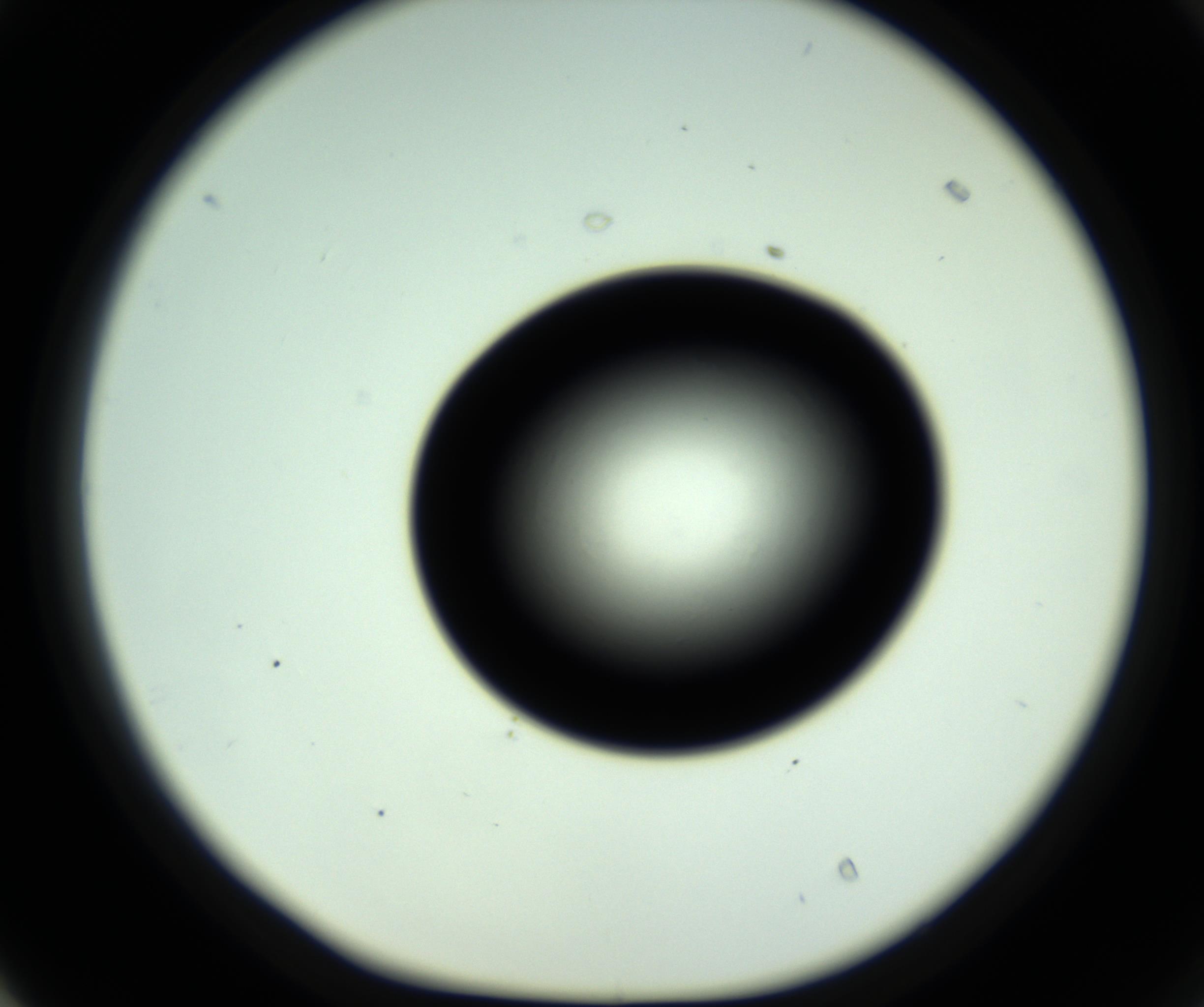 RI01_03_000_0212_Proj1_Clon1_MC_0000MC102808_006_161013_04_04_01_00_98_002_001_RAI.jpg