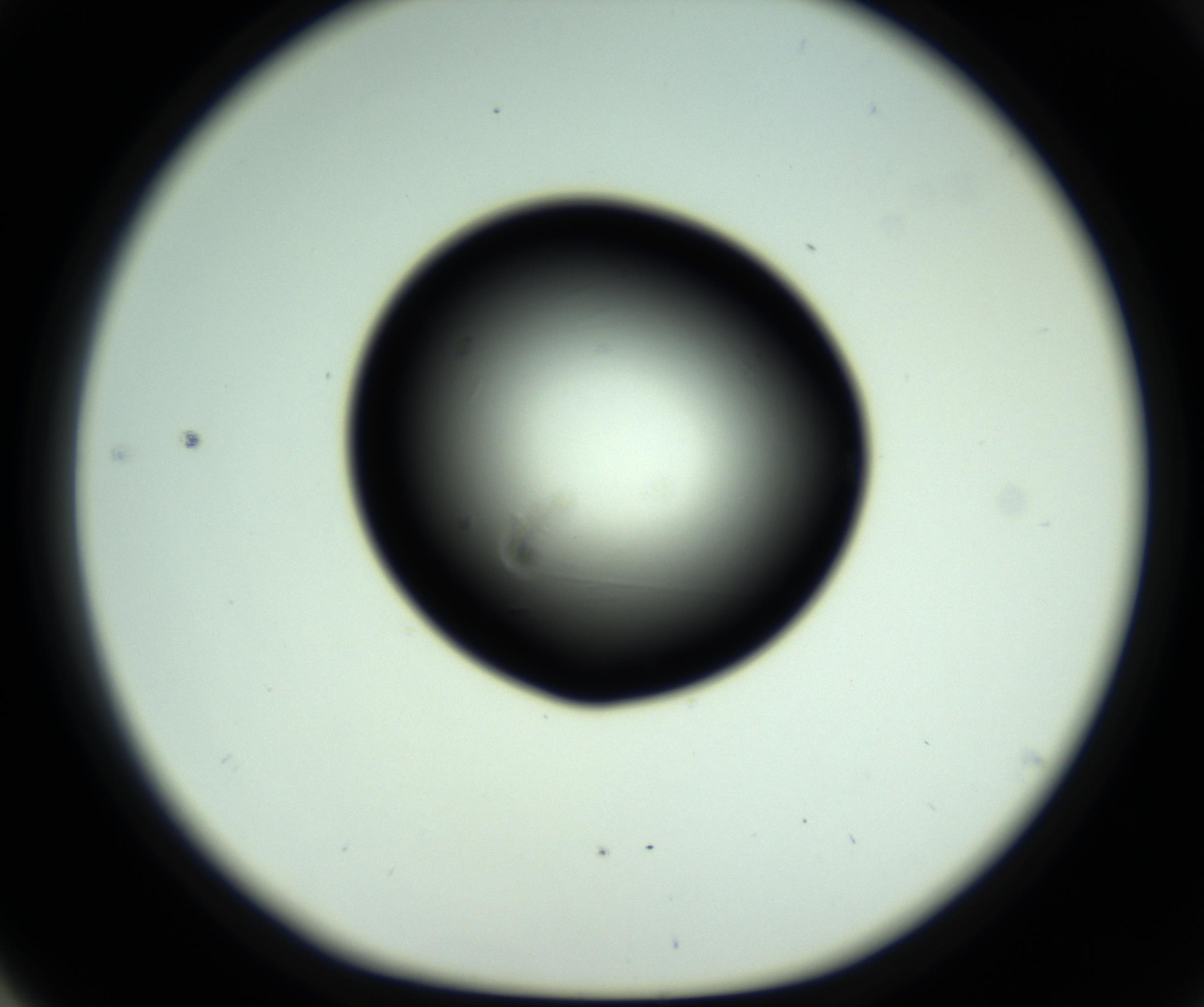 RI01_03_000_0212_Proj1_Clon1_MC_0000MC102808_006_161013_04_05_01_00_98_002_001_RAI.jpg