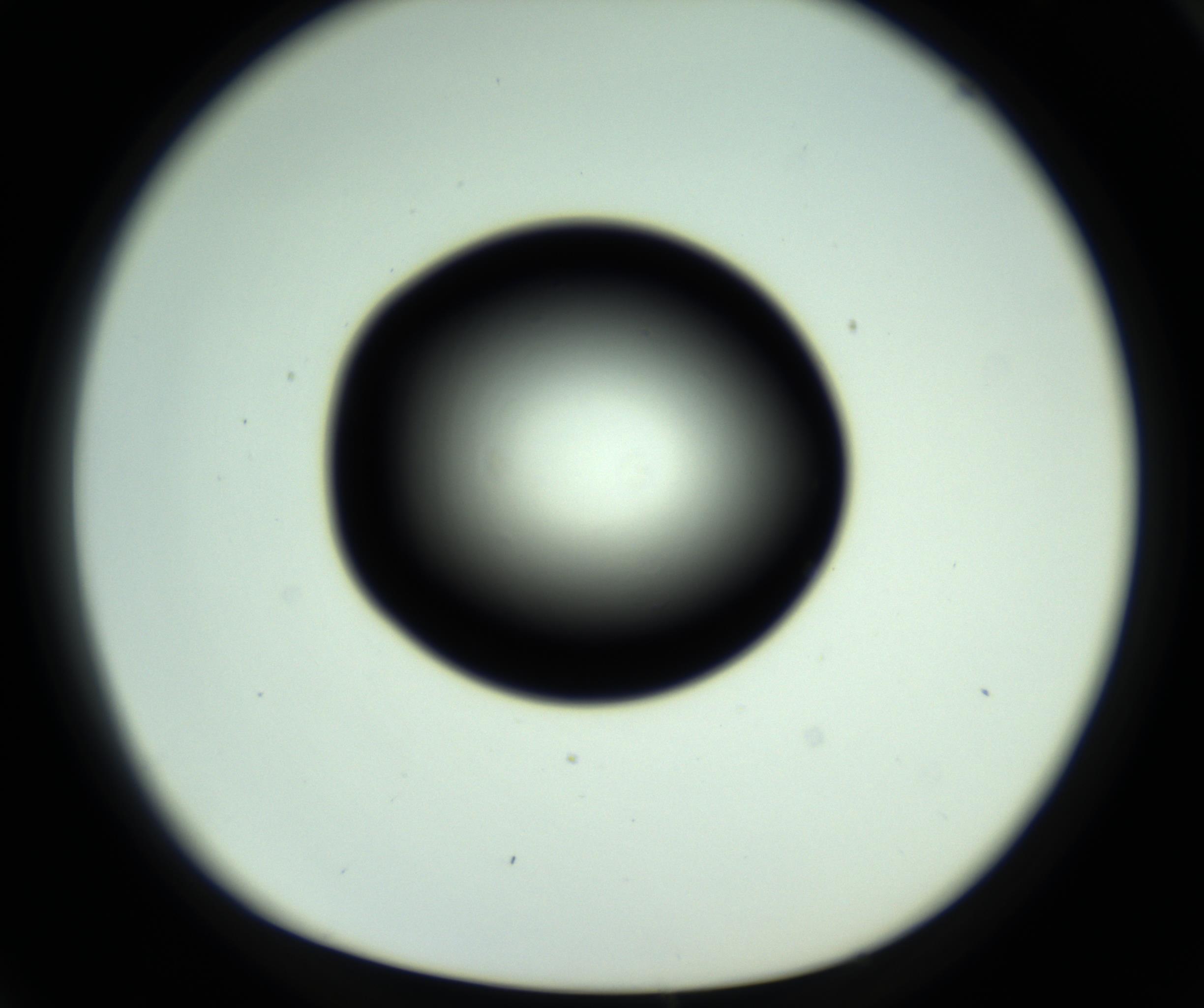 RI01_03_000_0212_Proj1_Clon1_MC_0000MC102808_006_161013_04_06_01_00_98_002_001_RAI.jpg