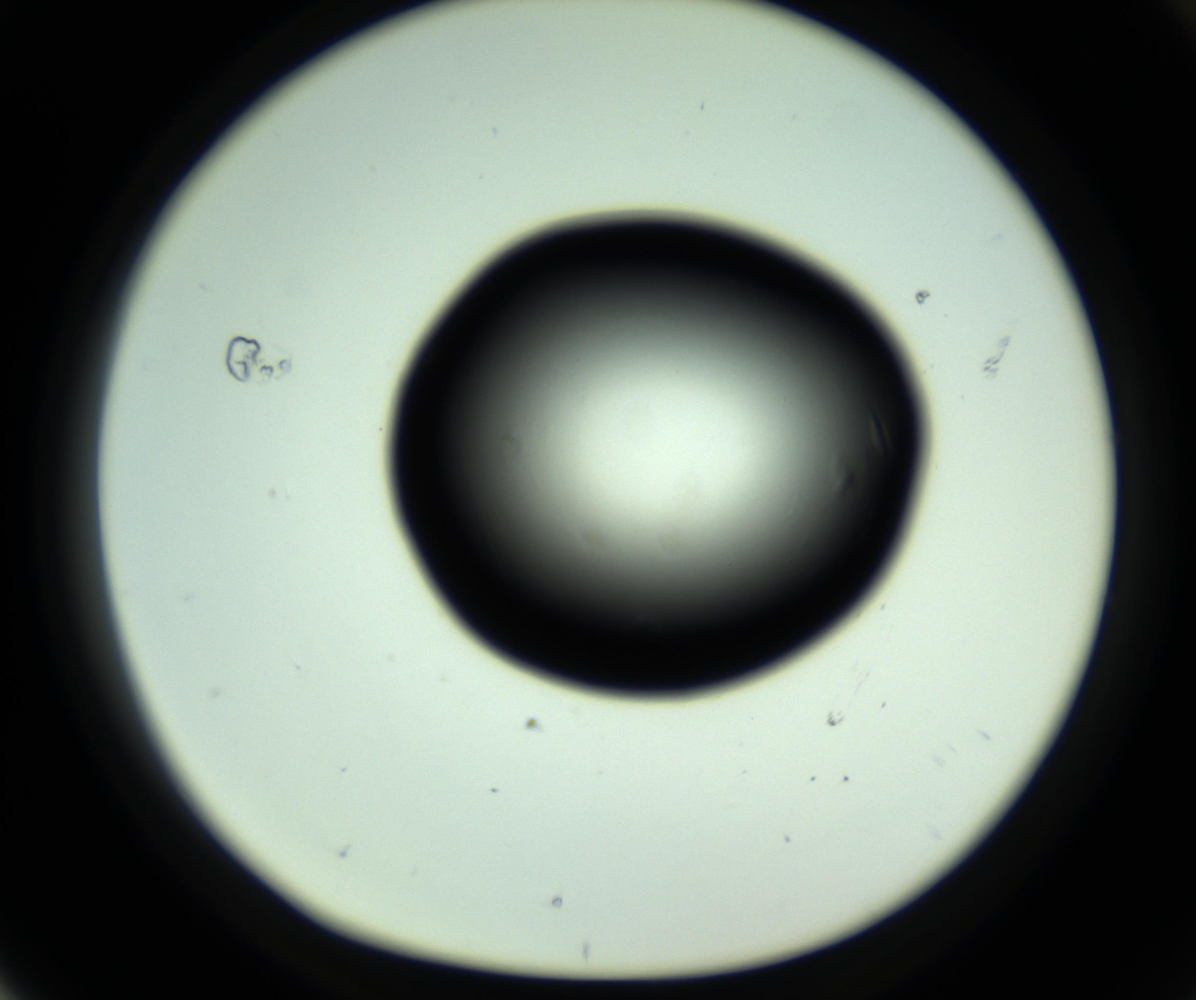 RI01_03_000_0212_Proj1_Clon1_MC_0000MC102808_006_161013_04_07_01_00_98_002_001_RAI.jpg
