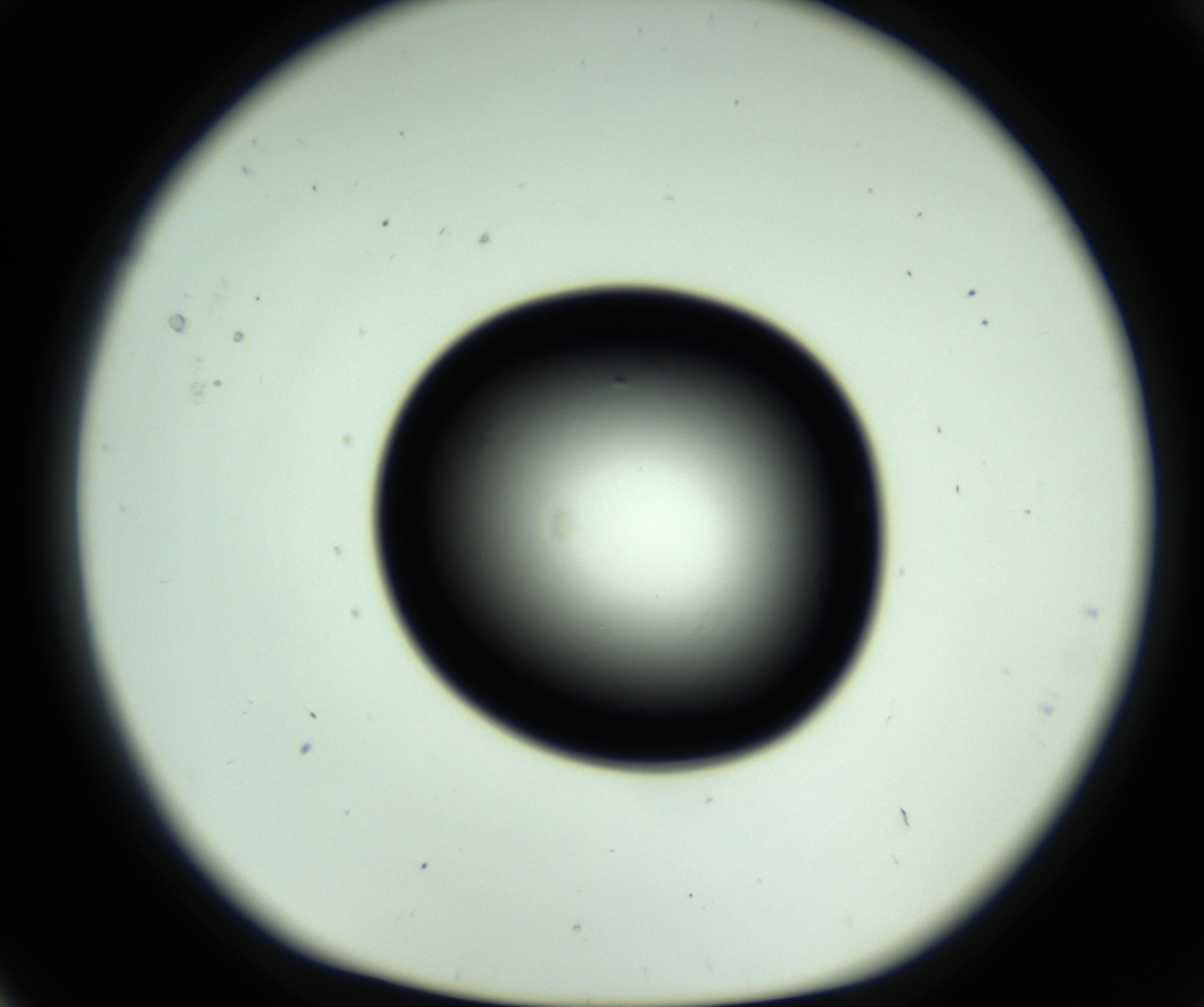 RI01_03_000_0212_Proj1_Clon1_MC_0000MC102808_006_161013_05_01_01_00_98_002_001_RAI.jpg