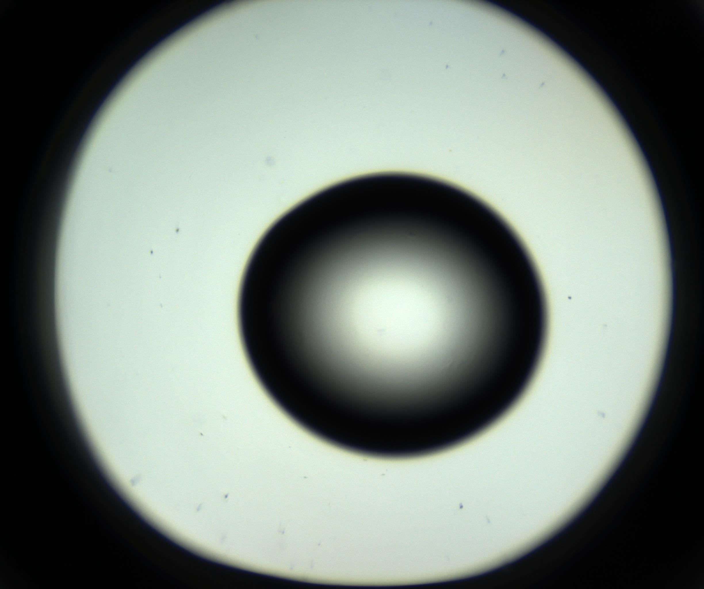 RI01_03_000_0212_Proj1_Clon1_MC_0000MC102808_006_161013_05_04_01_00_98_002_001_RAI.jpg