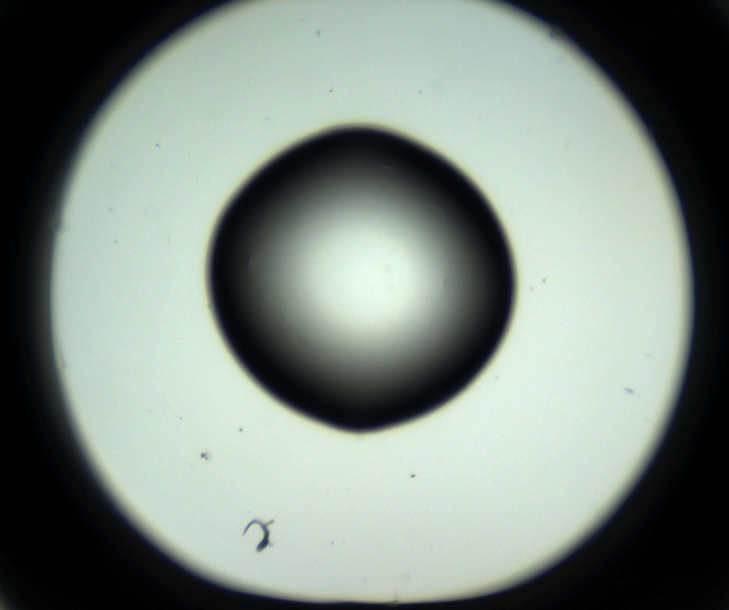 RI01_03_000_0212_Proj1_Clon1_MC_0000MC102808_006_161013_05_05_01_00_98_002_001_RAI.jpg