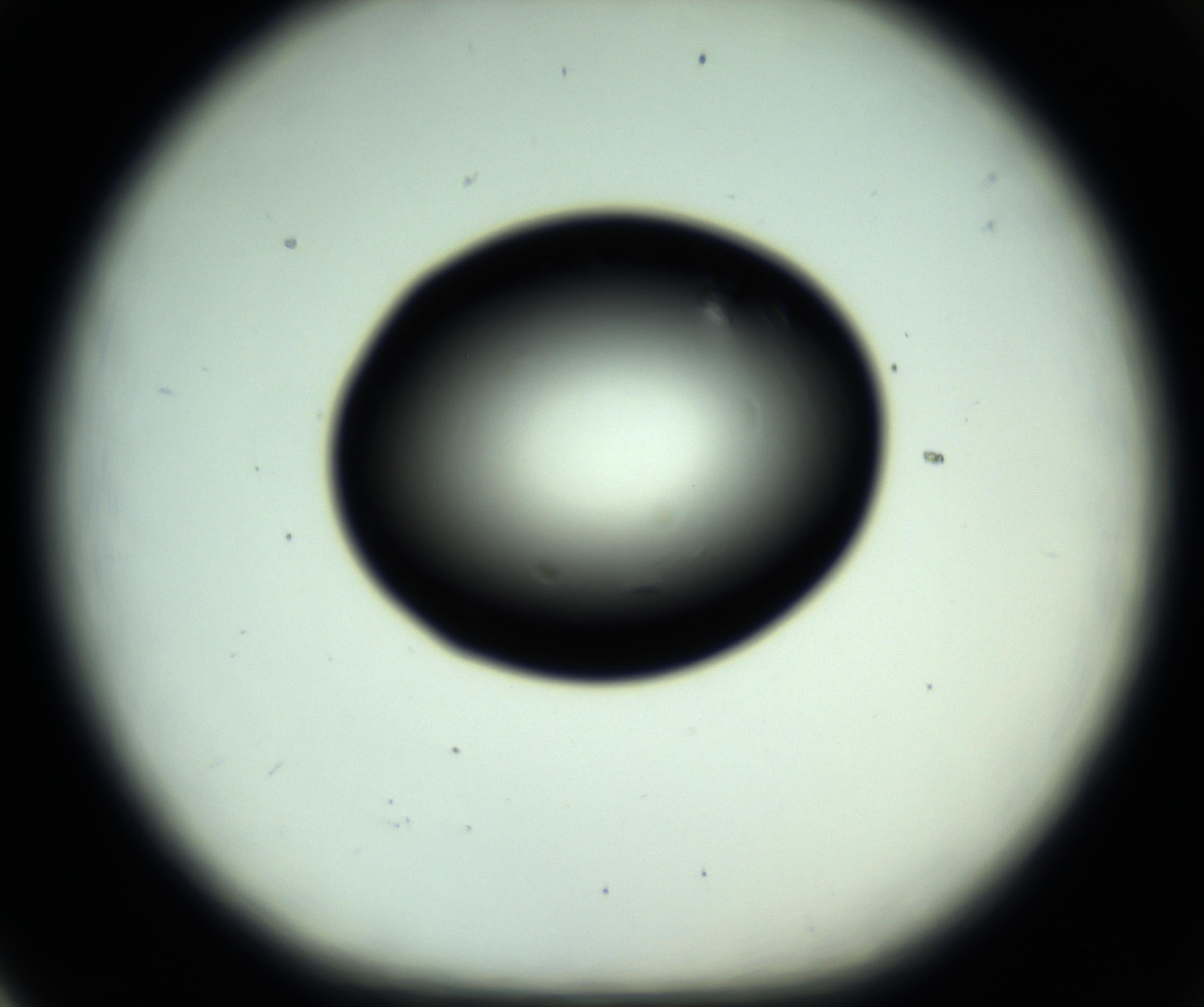 RI01_03_000_0212_Proj1_Clon1_MC_0000MC102808_006_161013_05_06_01_00_98_002_001_RAI.jpg