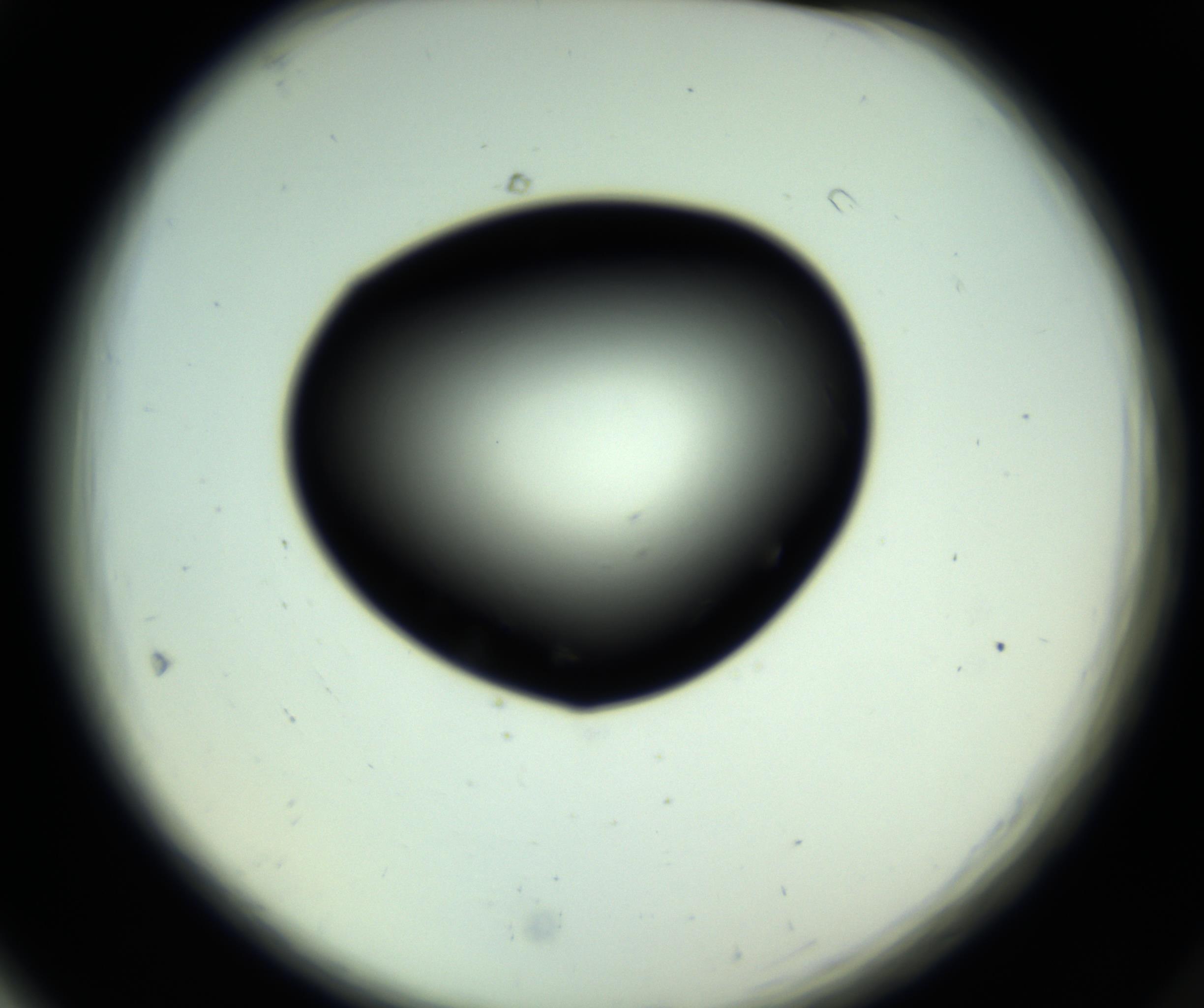 RI01_03_000_0212_Proj1_Clon1_MC_0000MC102808_006_161013_05_06_02_00_98_002_001_RAI.jpg