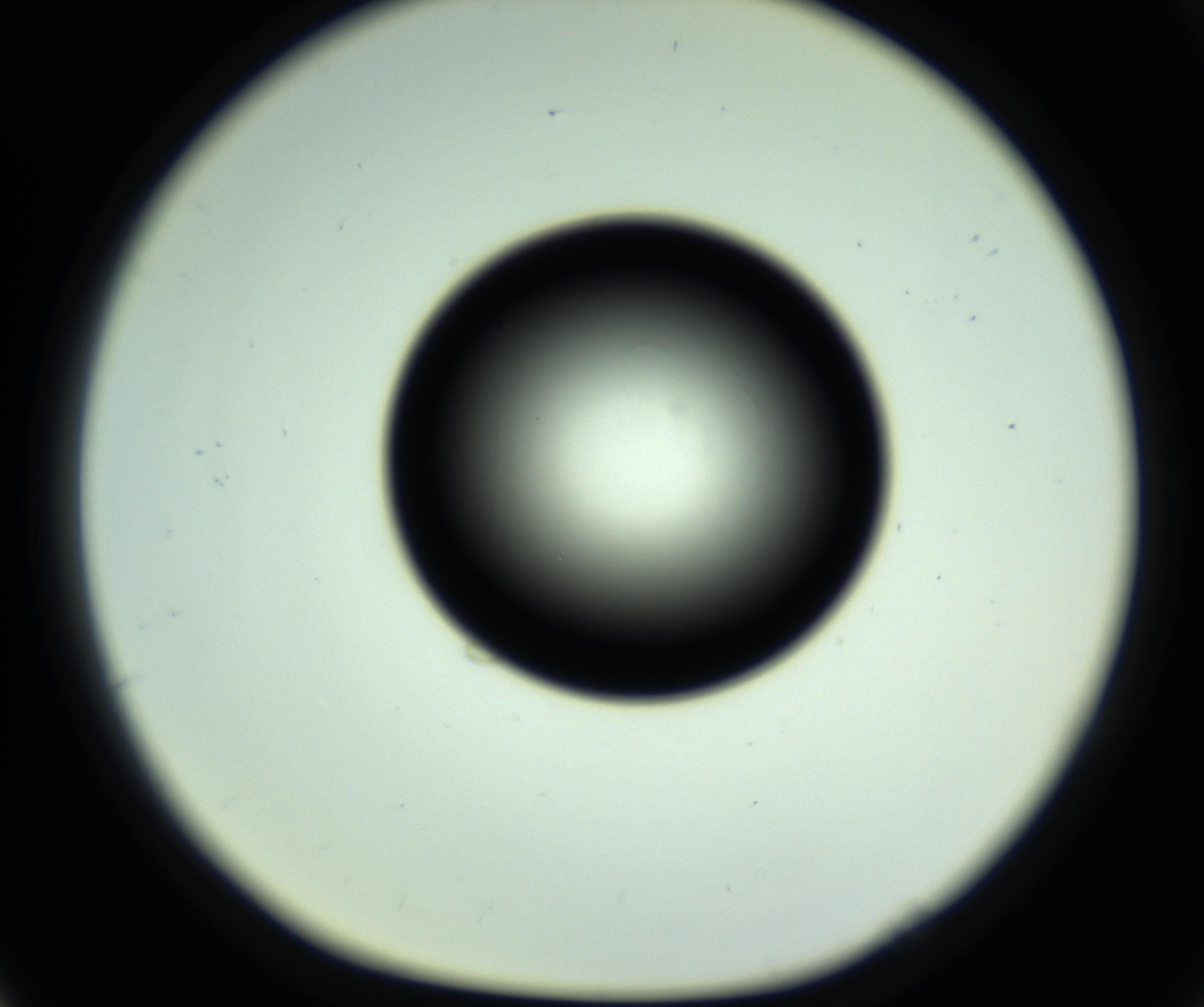 RI01_03_000_0212_Proj1_Clon1_MC_0000MC102808_006_161013_05_07_01_00_98_002_001_RAI.jpg