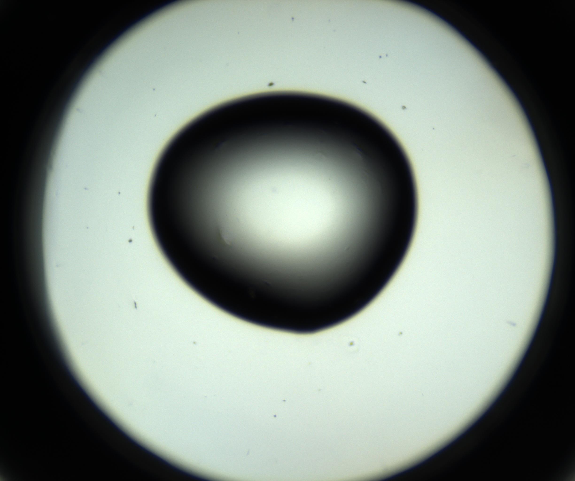 RI01_03_000_0212_Proj1_Clon1_MC_0000MC102808_006_161013_06_04_02_00_98_002_001_RAI.jpg