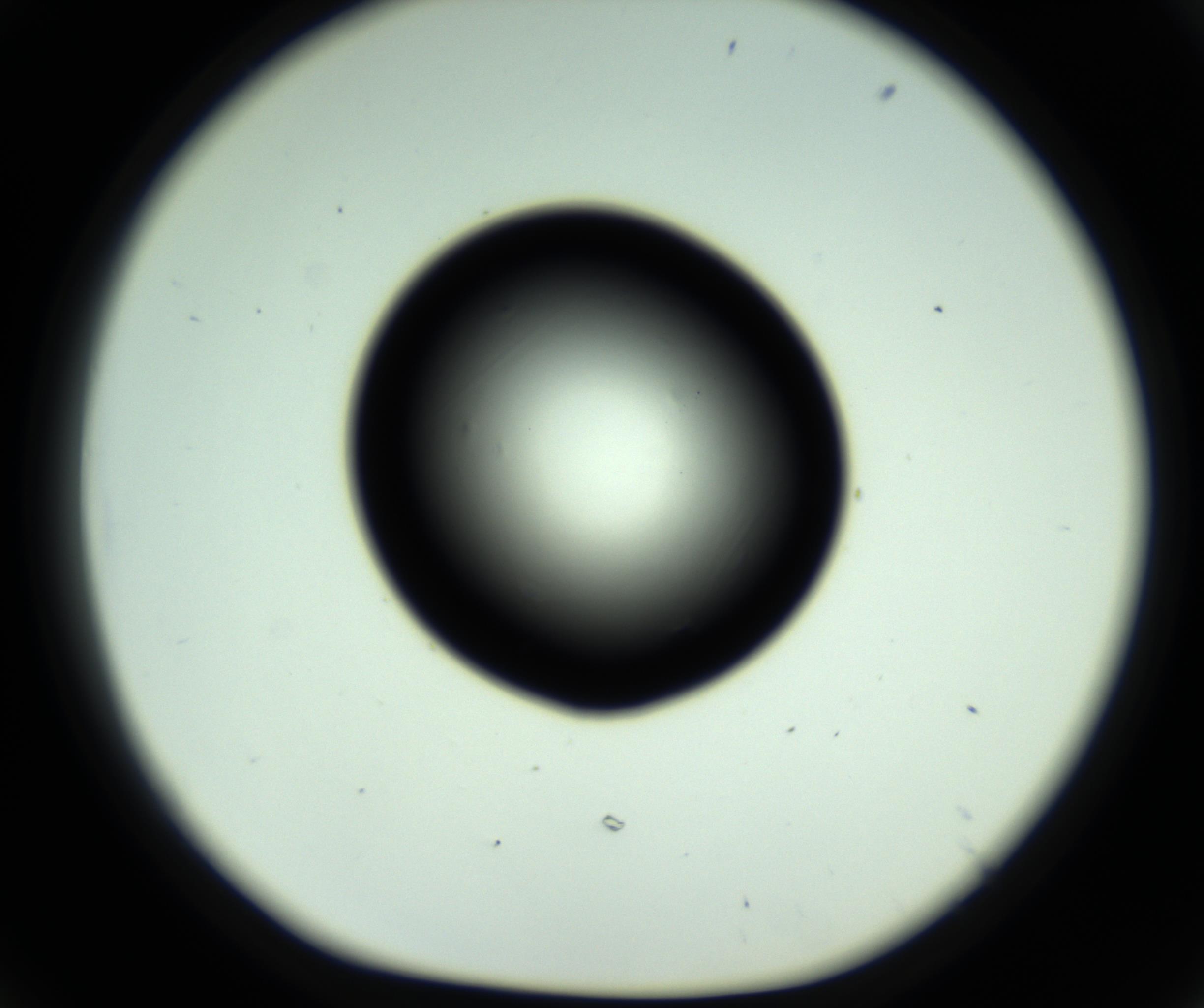 RI01_03_000_0212_Proj1_Clon1_MC_0000MC102808_006_161013_06_05_01_00_98_002_001_RAI.jpg